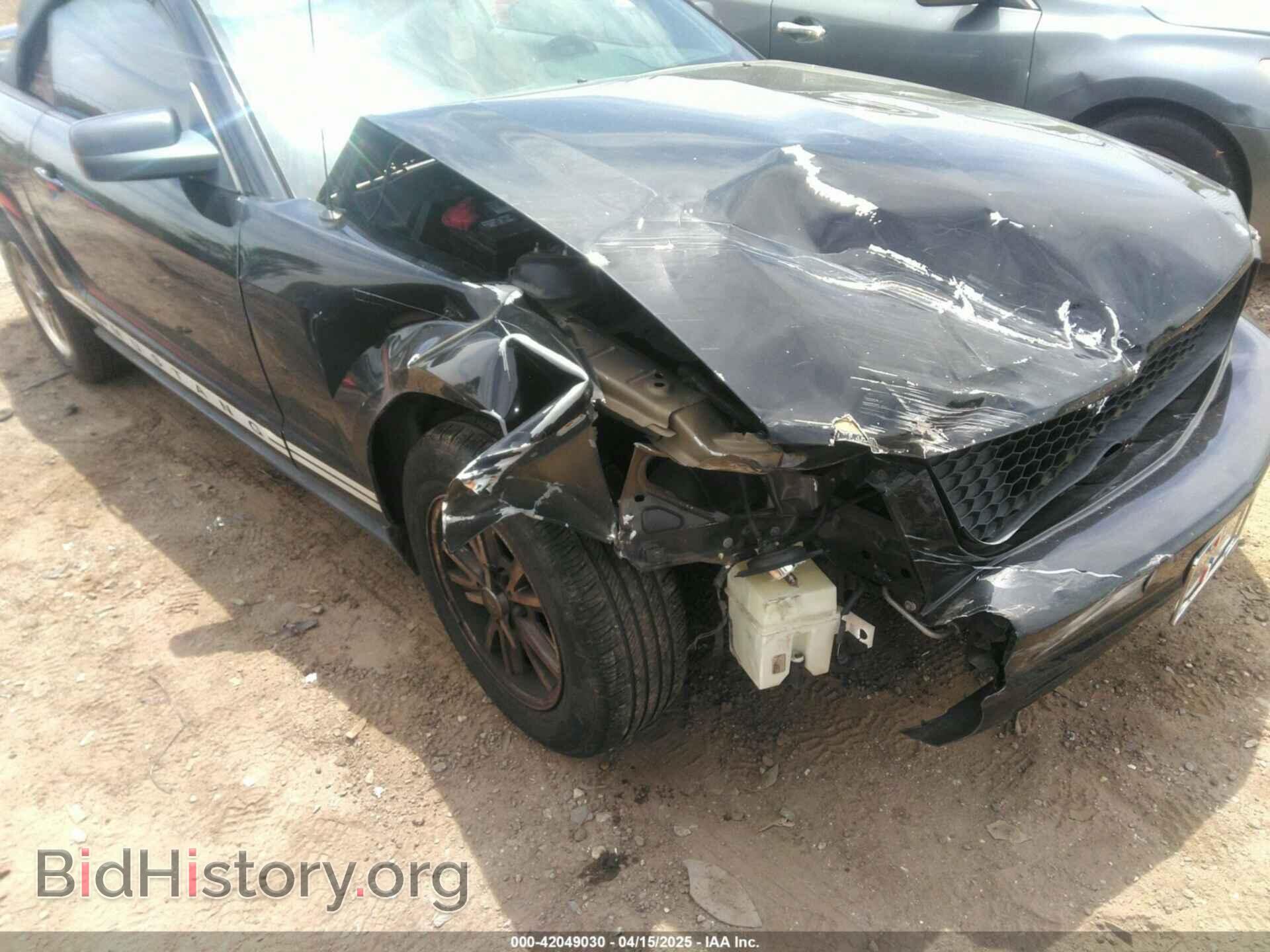 2005 FORD MUSTANG - VIN: 1ZVHT84N855259857 - Фото 6