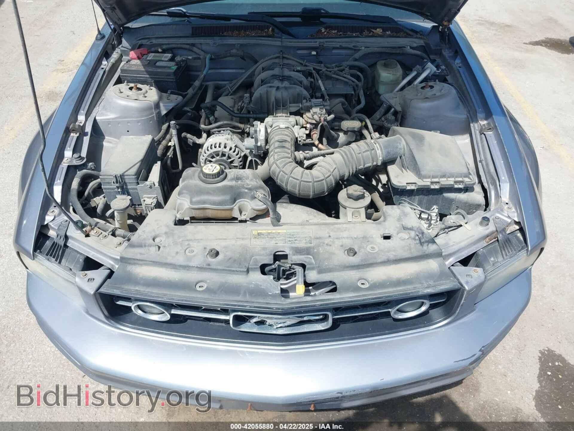 2006 FORD MUSTANG - VIN: 1ZVFT80N465115902 - Фото 10