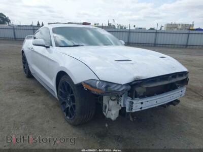 2019 Ford MUSTANG Ecoboost, white — VIN 1FA6P8THXK5143703, IAAI