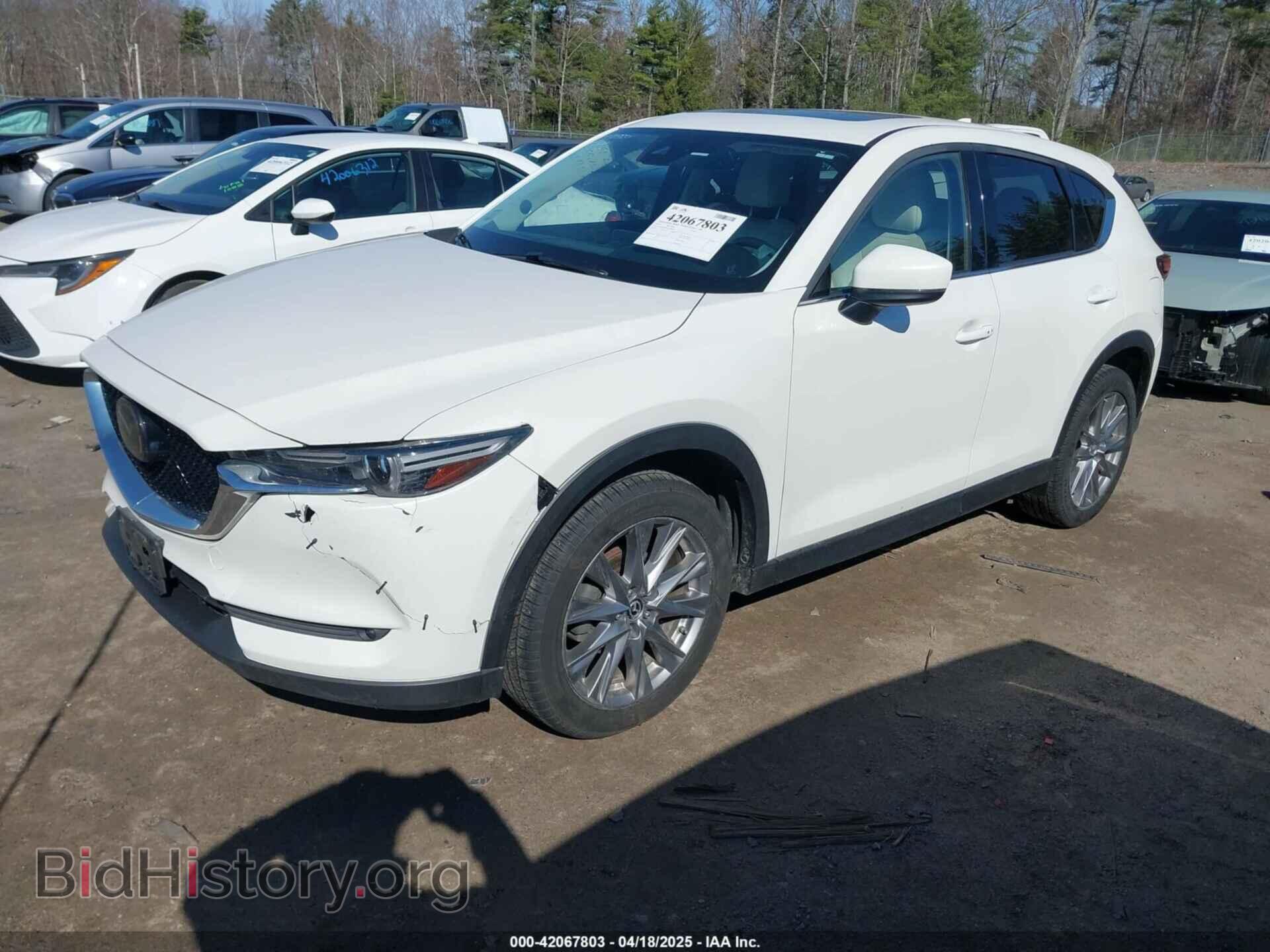 2019 MAZDA CX-5 - VIN: JM3KFBDM2K1506028 - Фото 2