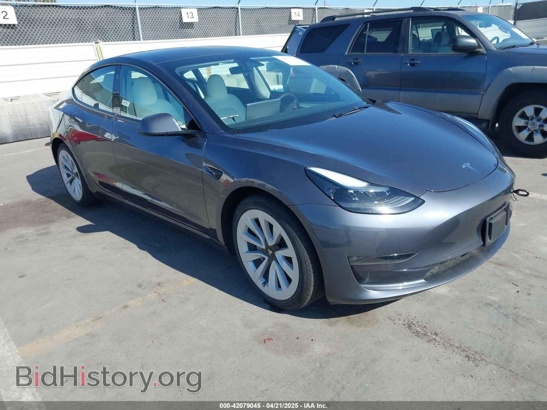 Photo 5YJ3E1EB7PF704061 - TESLA MODEL 3 2023