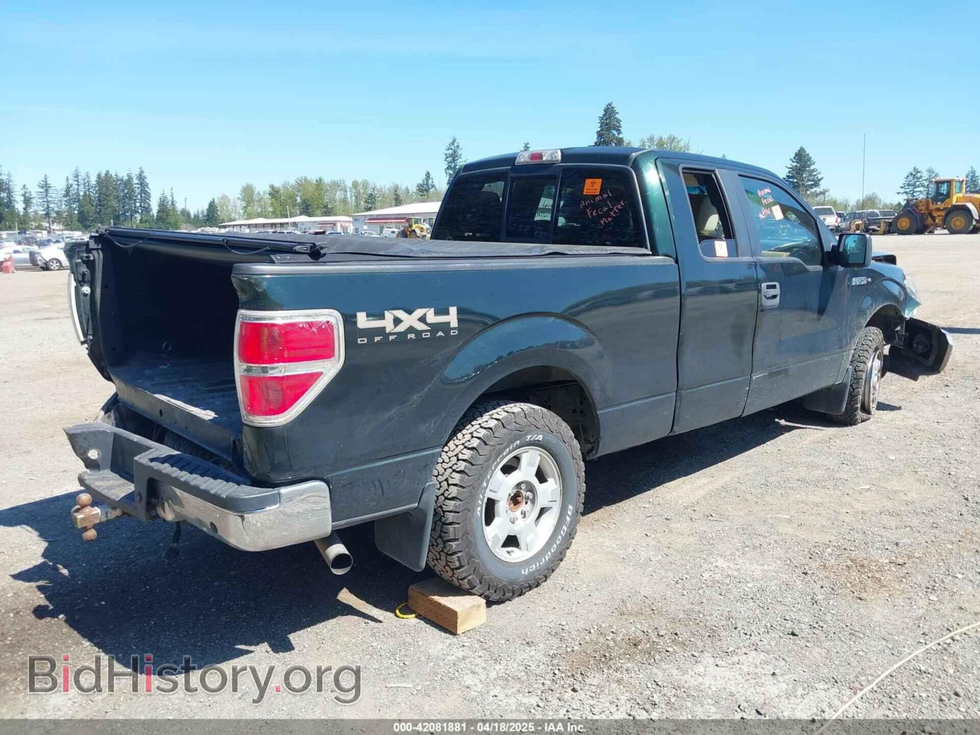 2013 FORD F-150 - VIN: 1FTFX1EF5DFD70453 - Фото 4