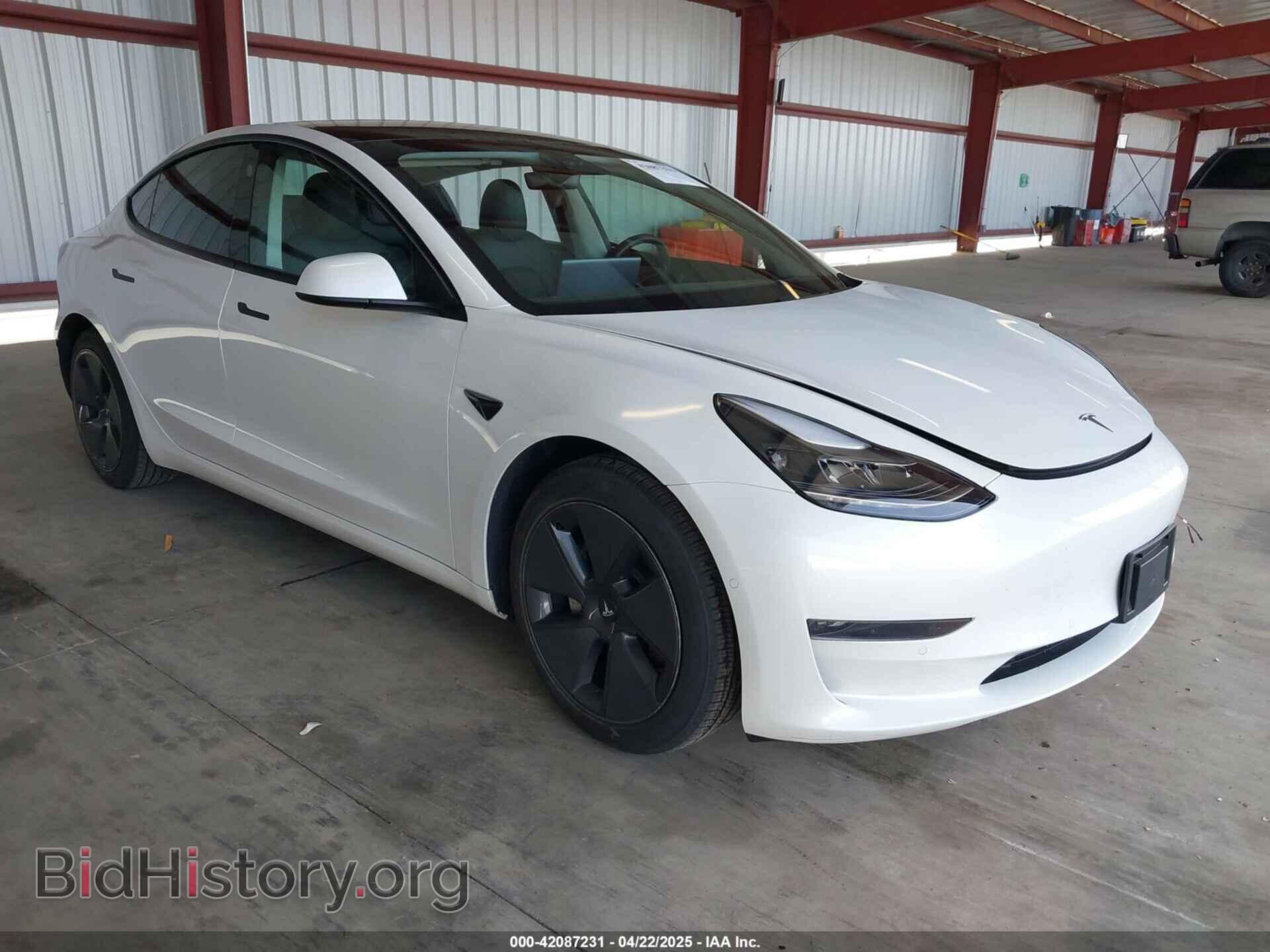 Photo 5YJ3E1EA2MF877005 - TESLA MODEL 3 2021