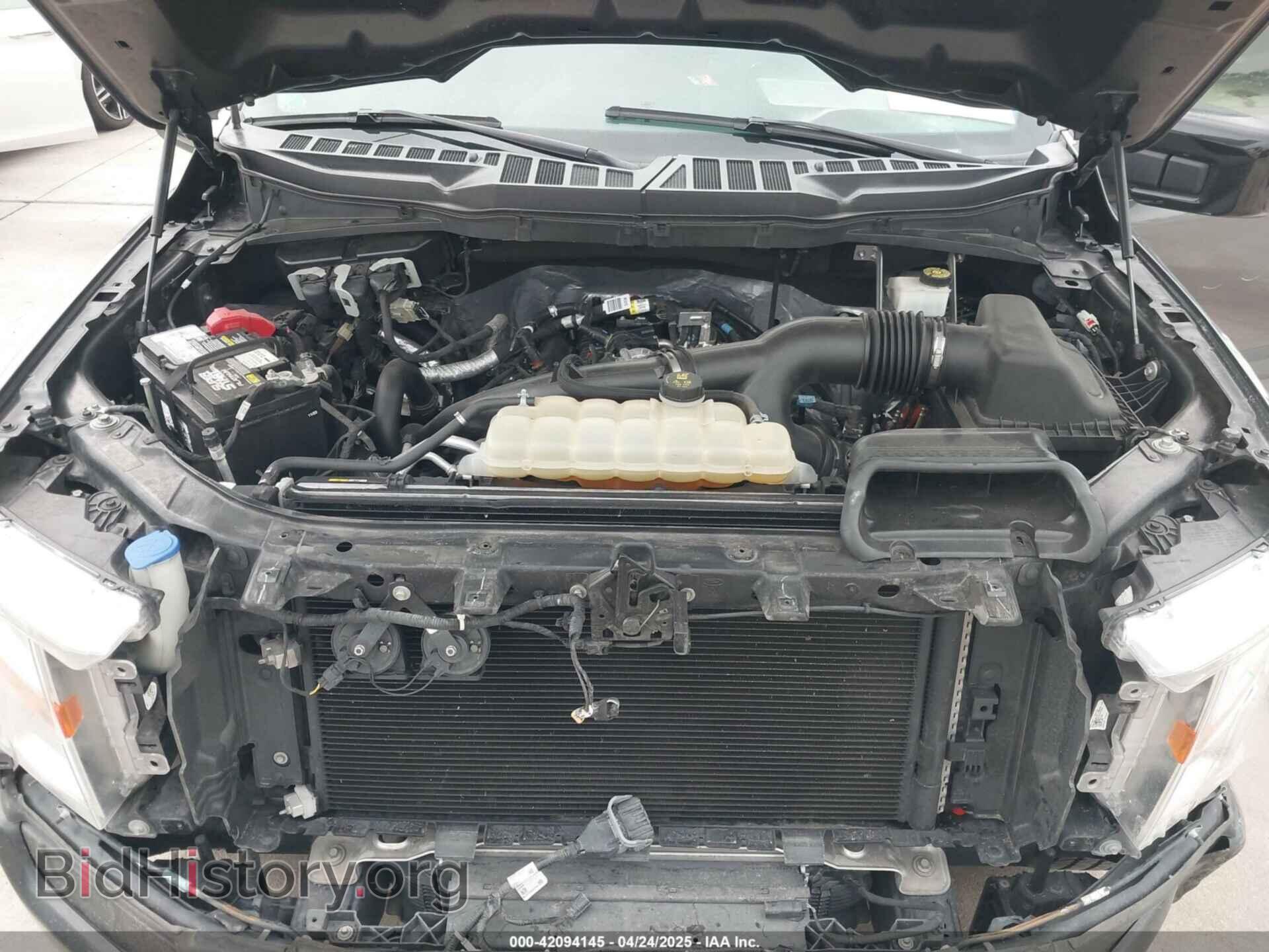 2021 FORD F-150 - VIN: 1FTEW1CP9MFC03913 - Фото 10