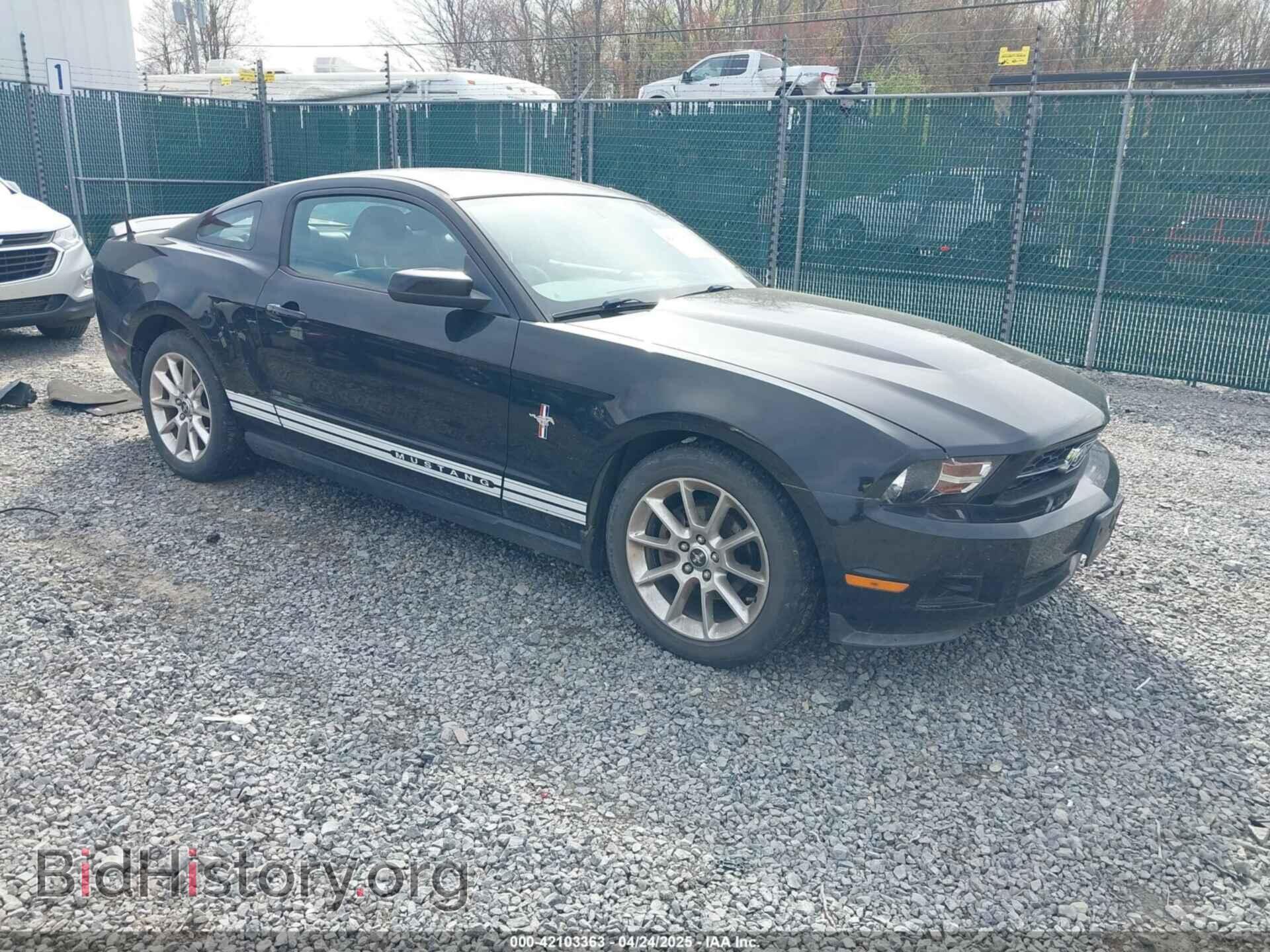Фотография 1ZVBP8AN8A5176308 - FORD MUSTANG 2010
