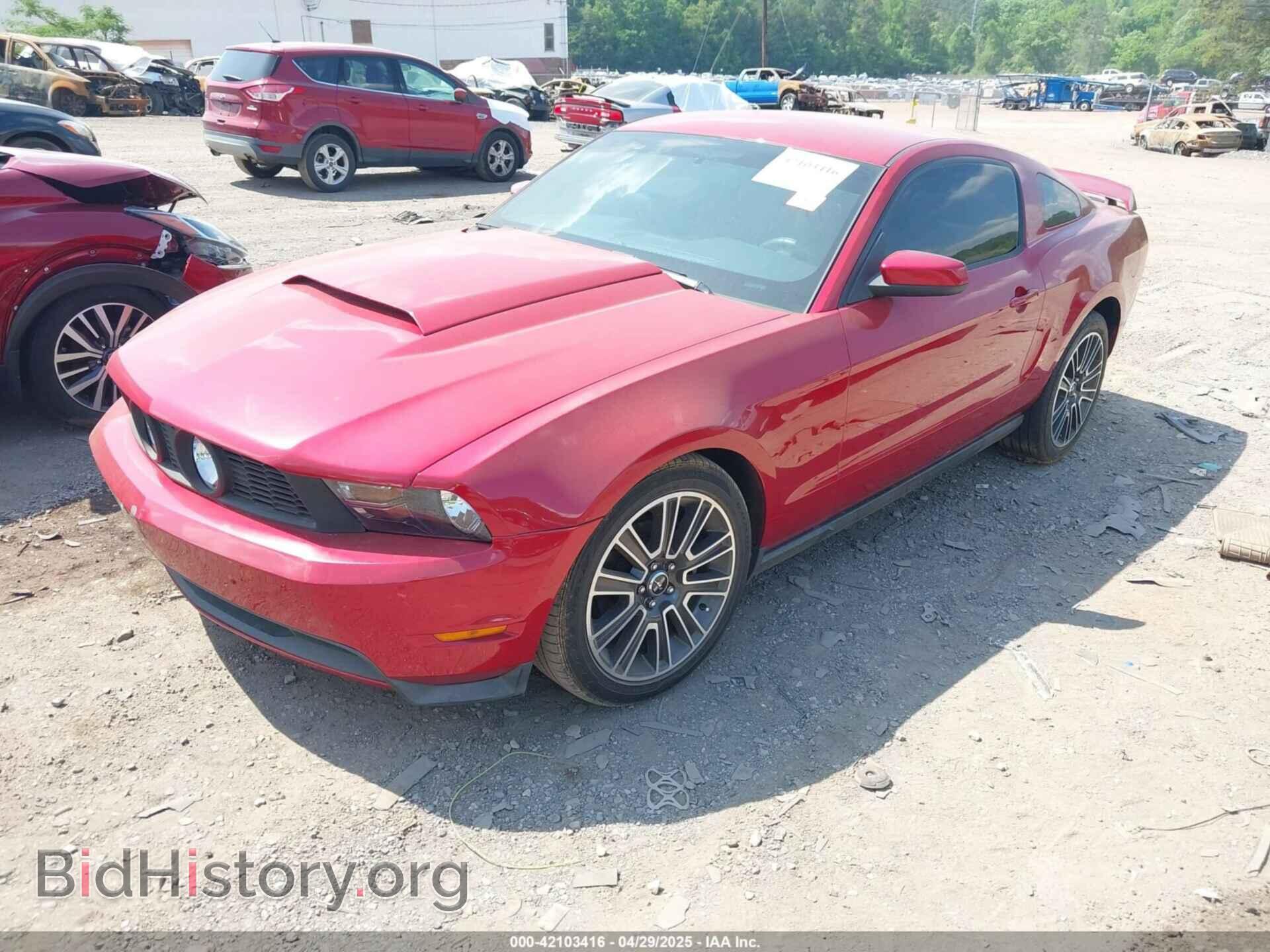 2010 FORD MUSTANG - VIN: 1ZVBP8CH8A5154932 - Фото 2