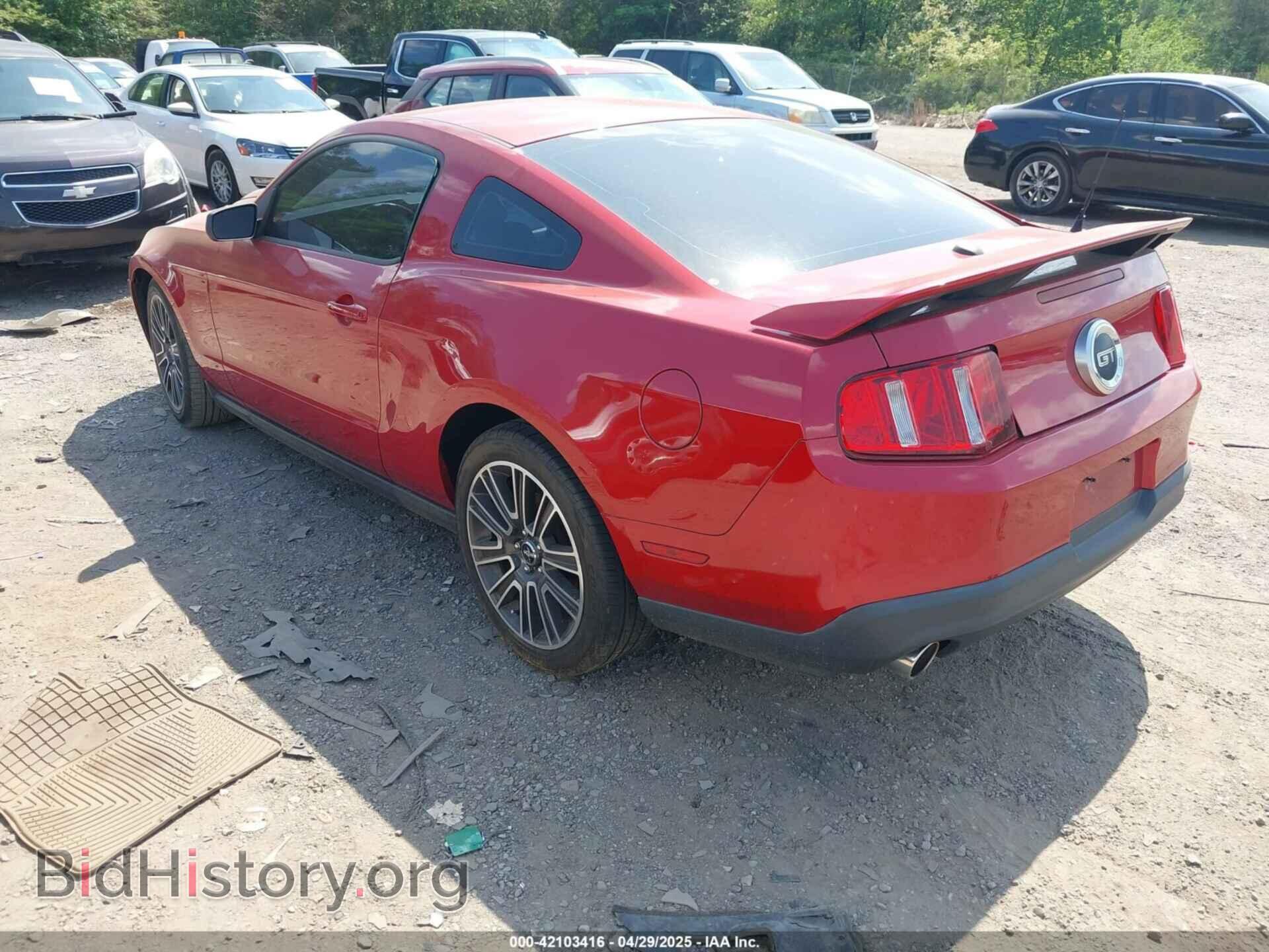 2010 FORD MUSTANG - VIN: 1ZVBP8CH8A5154932 - Фото 3