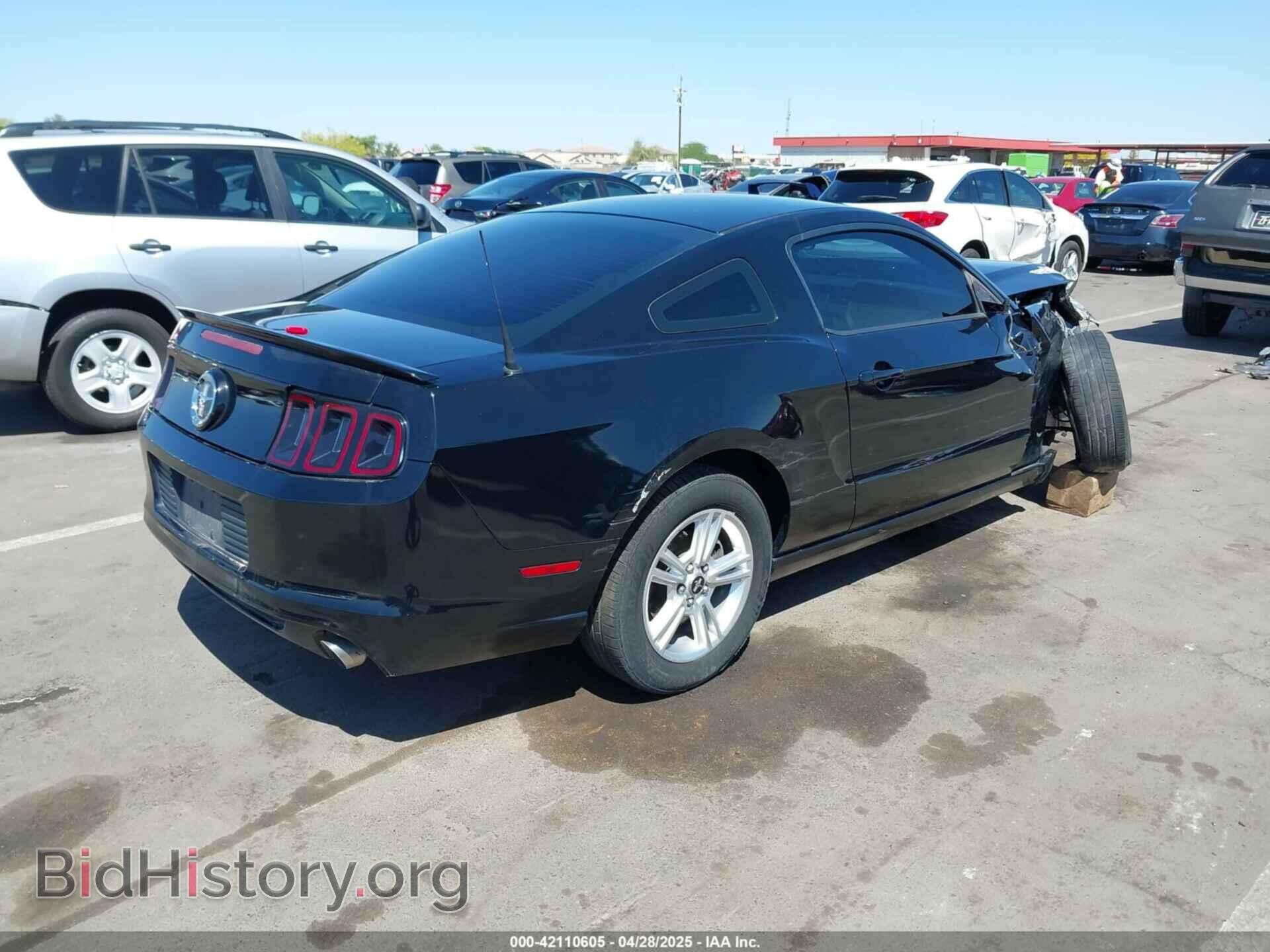 2013 FORD MUSTANG - VIN: 1ZVBP8AM0D5241888 - Фото 4