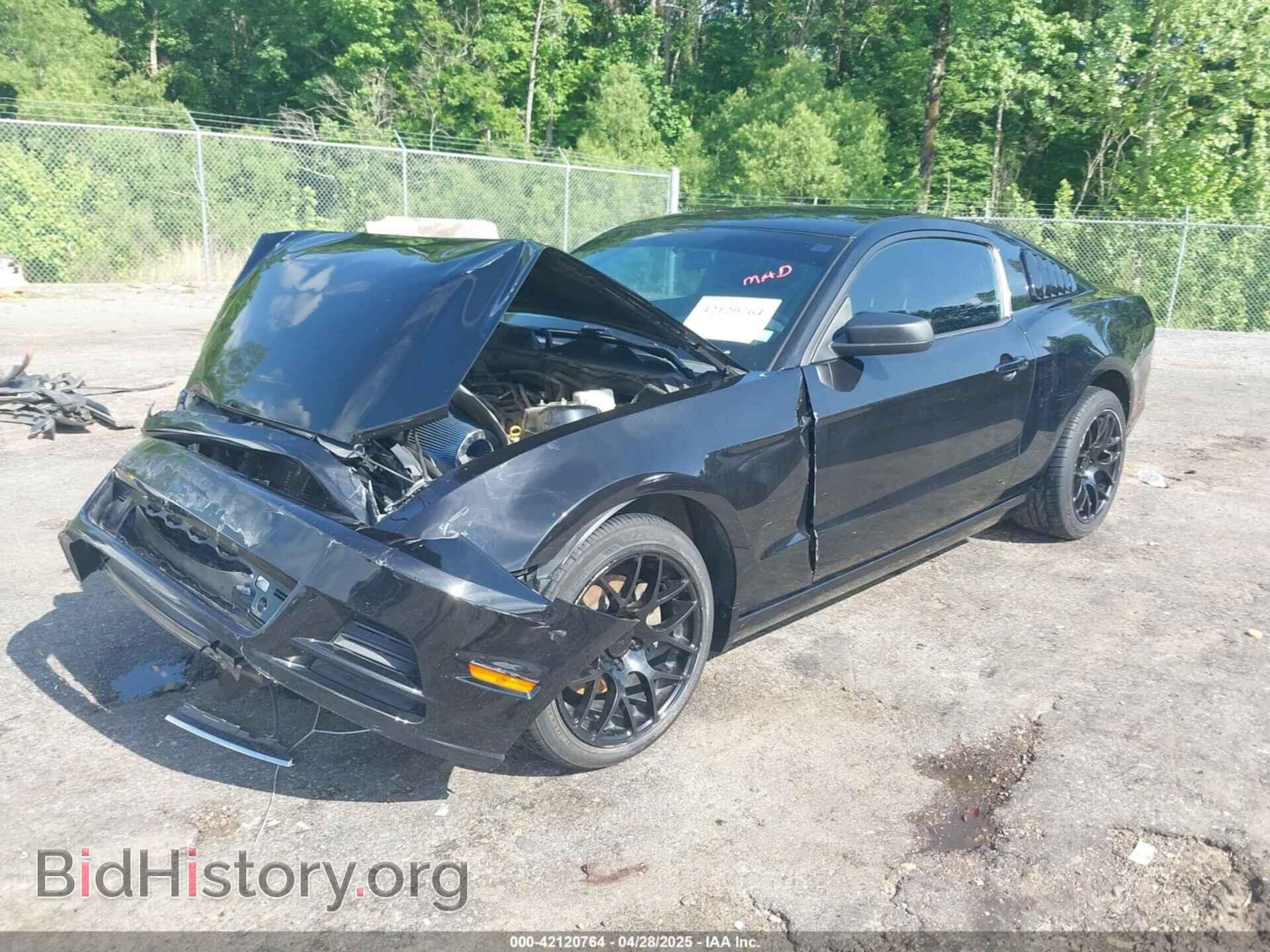 2014 FORD MUSTANG - VIN: 1ZVBP8AM7E5324901 - Фото 2
