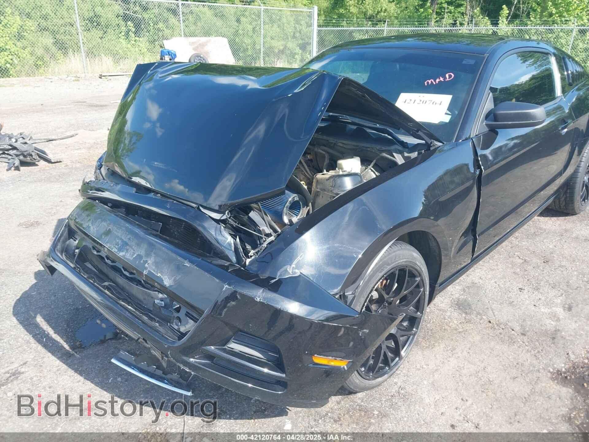 2014 FORD MUSTANG - VIN: 1ZVBP8AM7E5324901 - Фото 6
