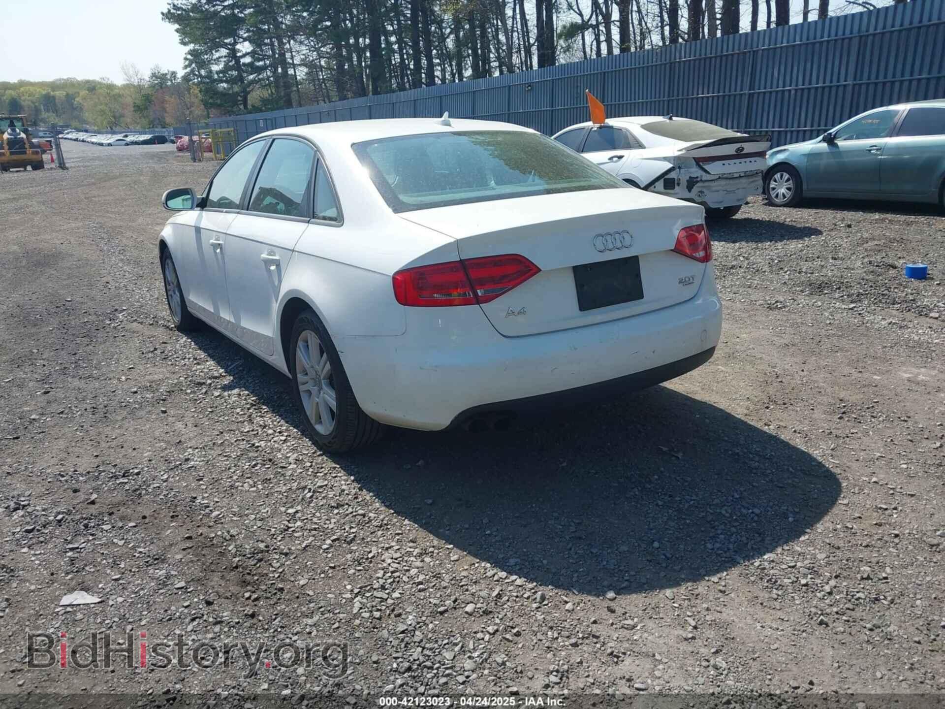 2010 AUDI A4 - VIN: WAUBFAFL6AN006448 - Фото 3