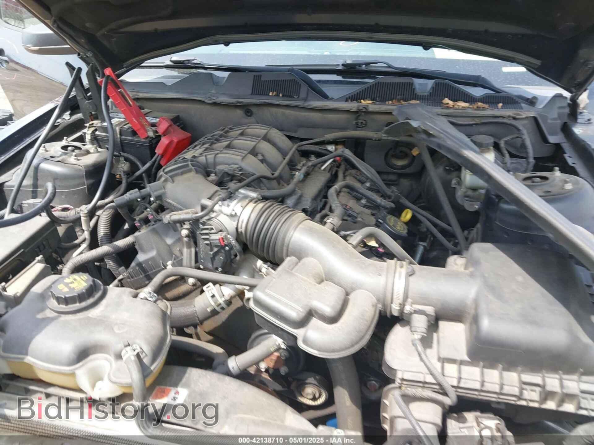 2014 FORD MUSTANG - VIN: 1ZVBP8AM2E5331285 - Фото 10