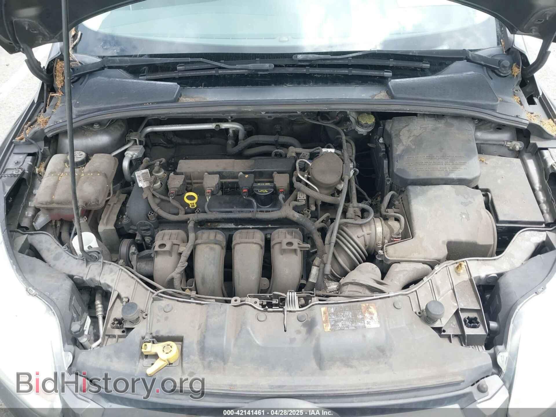 2014 FORD FOCUS - VIN: 1FADP3K24EL374992 - Фото 10