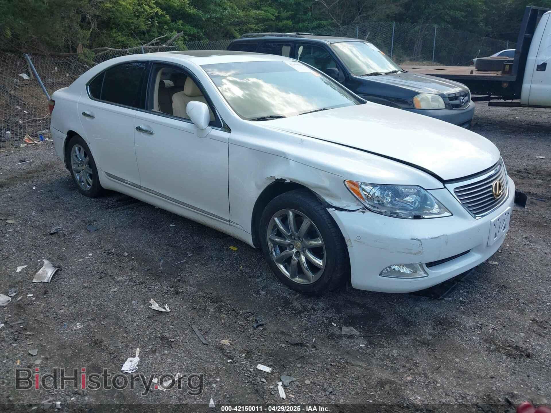 Фотография JT8BL46F675004925 - LEXUS LS 2007