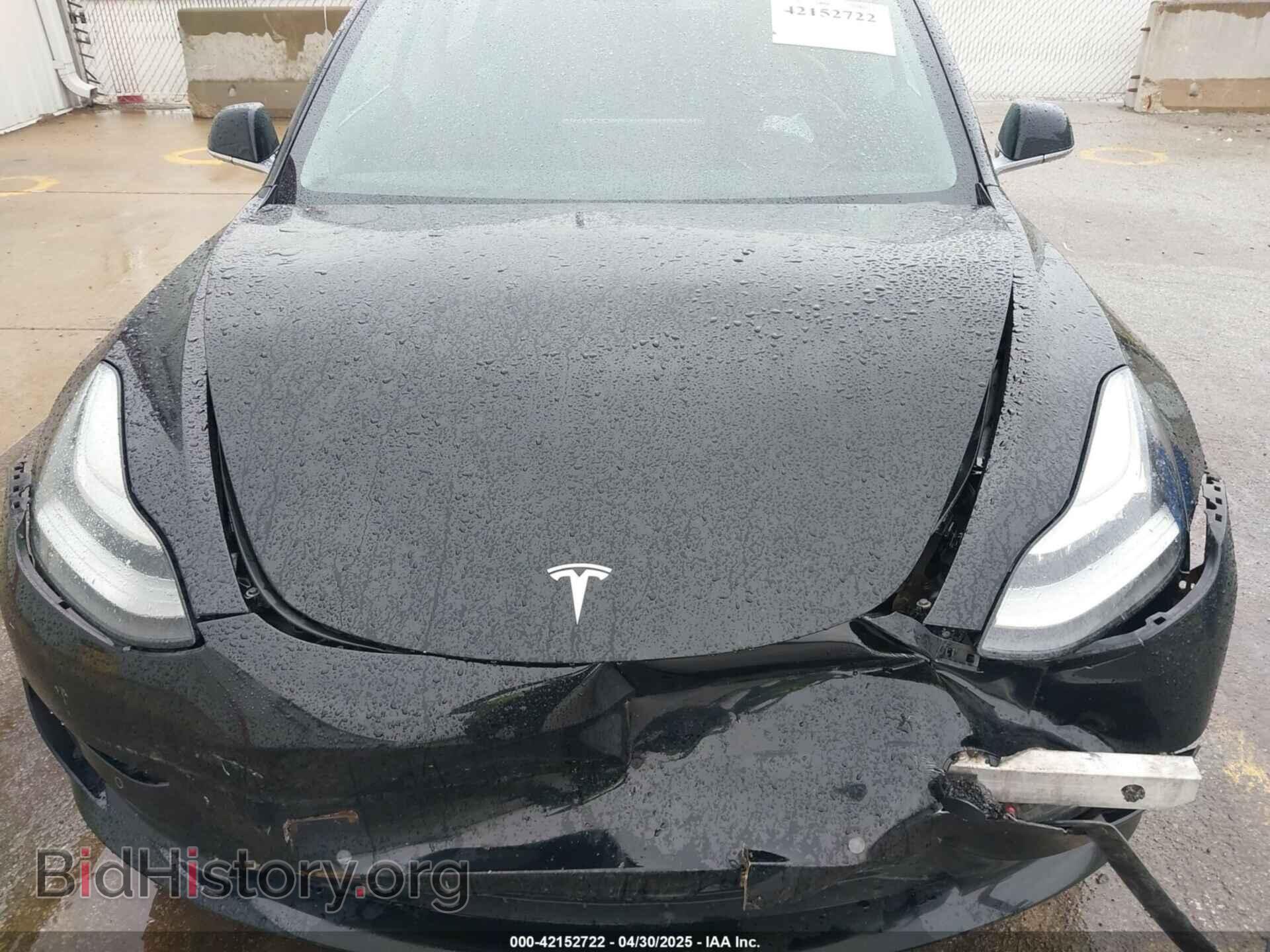 2019 TESLA MODEL 3 - VIN: 5YJ3E1EA3KF403013 - Photo 10