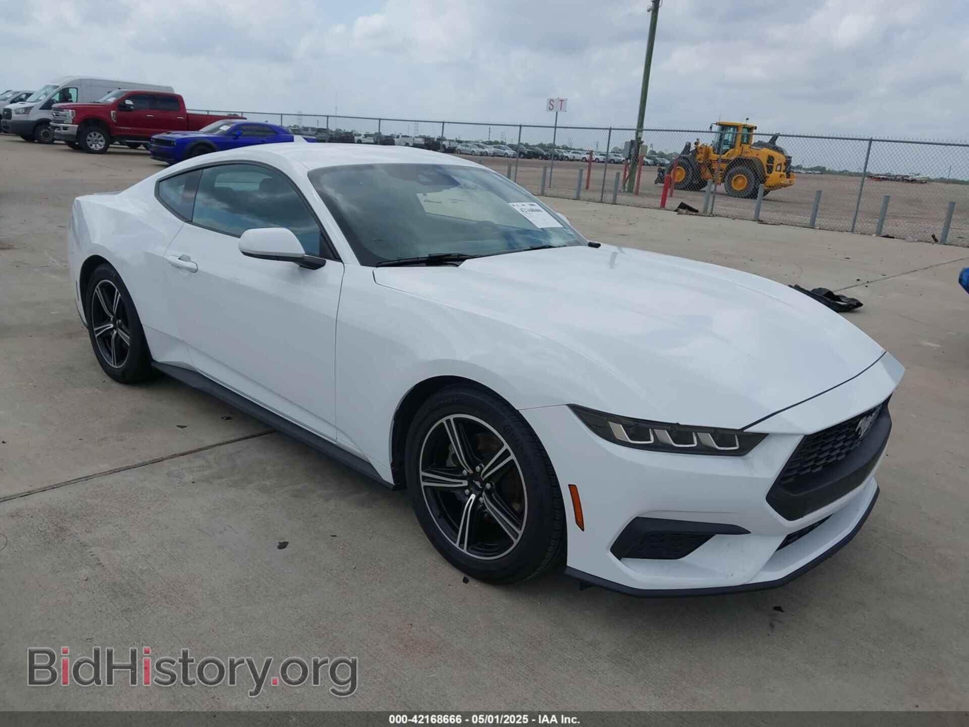 Фотография 1FA6P8TH3R5139955 - FORD MUSTANG 2024
