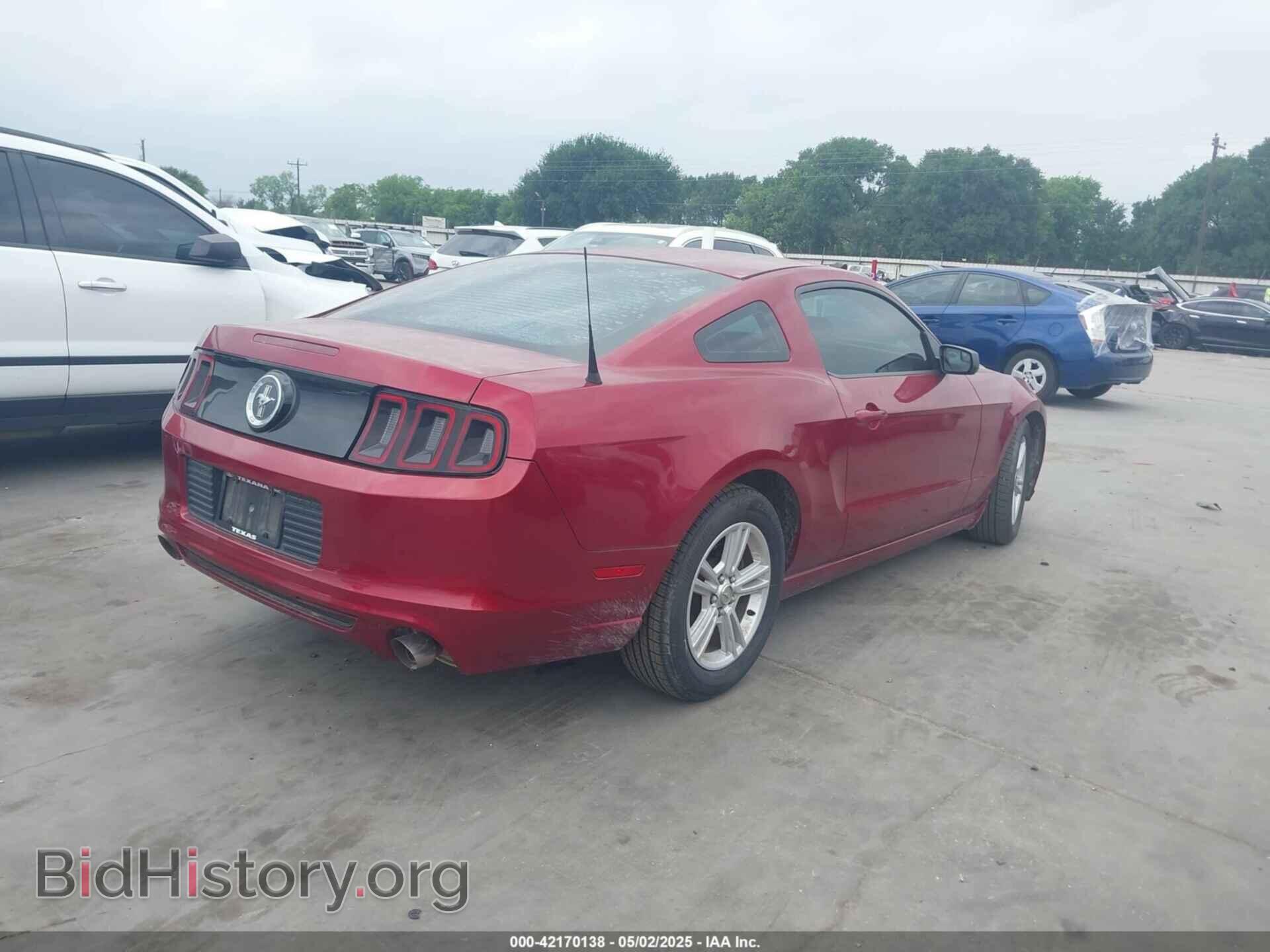 2014 FORD MUSTANG - VIN: 1ZVBP8AM3E5332204 - Фото 4