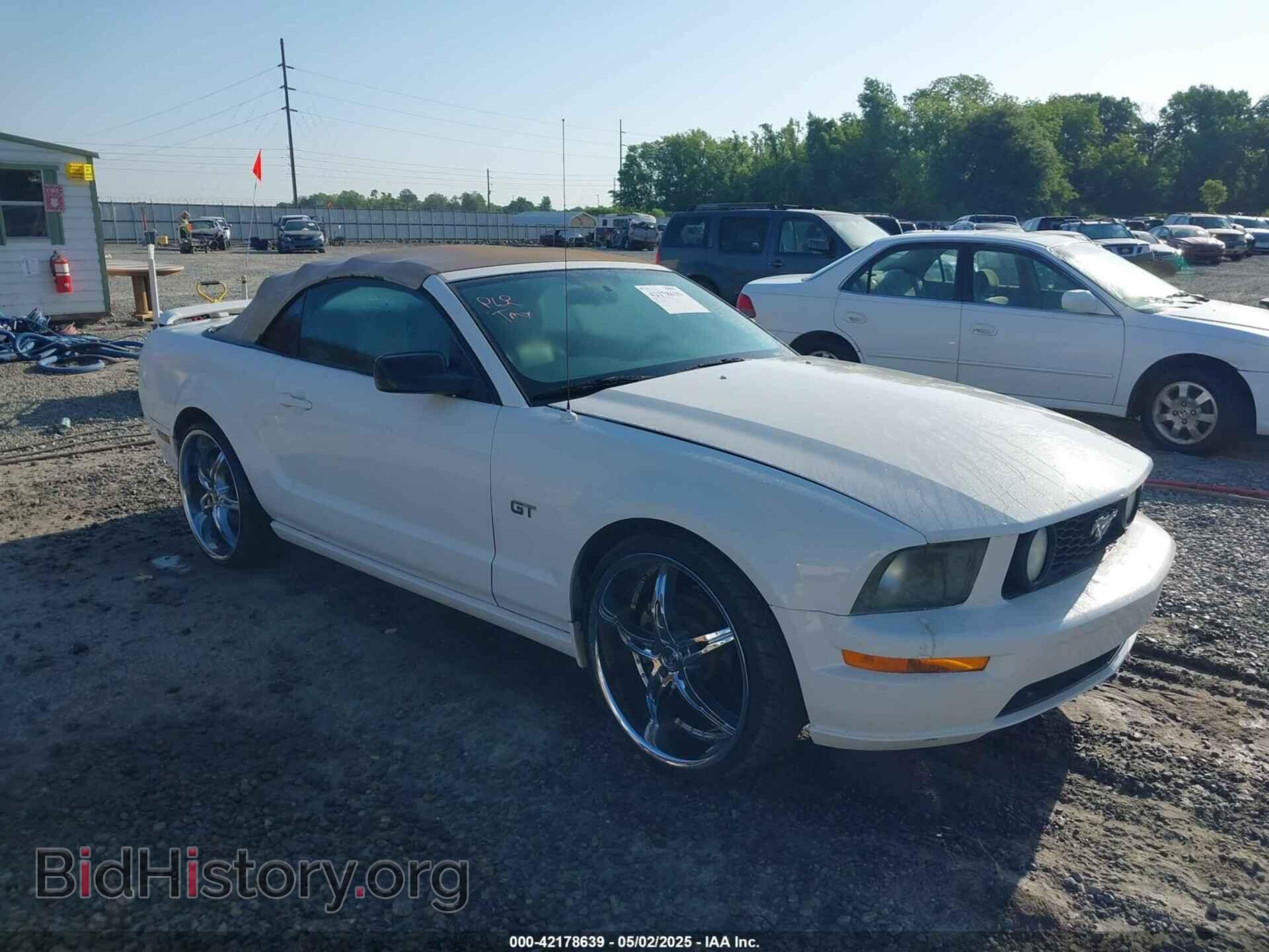Photo 1ZVFT85H065214185 - FORD MUSTANG 2006