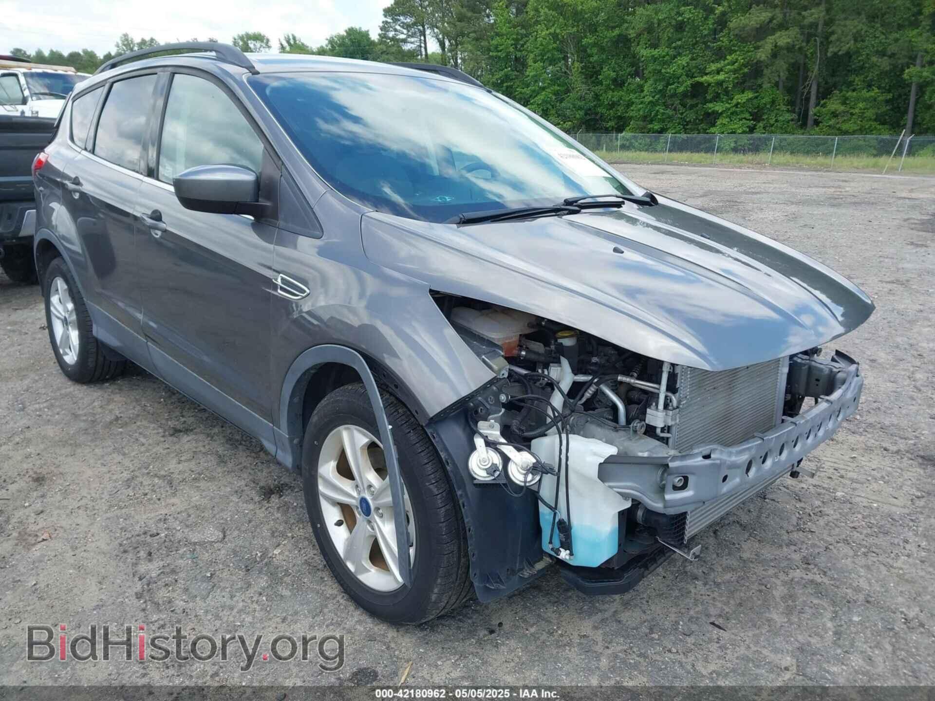 Photo 1FMCU0GX6EUB12897 - FORD ESCAPE 2014