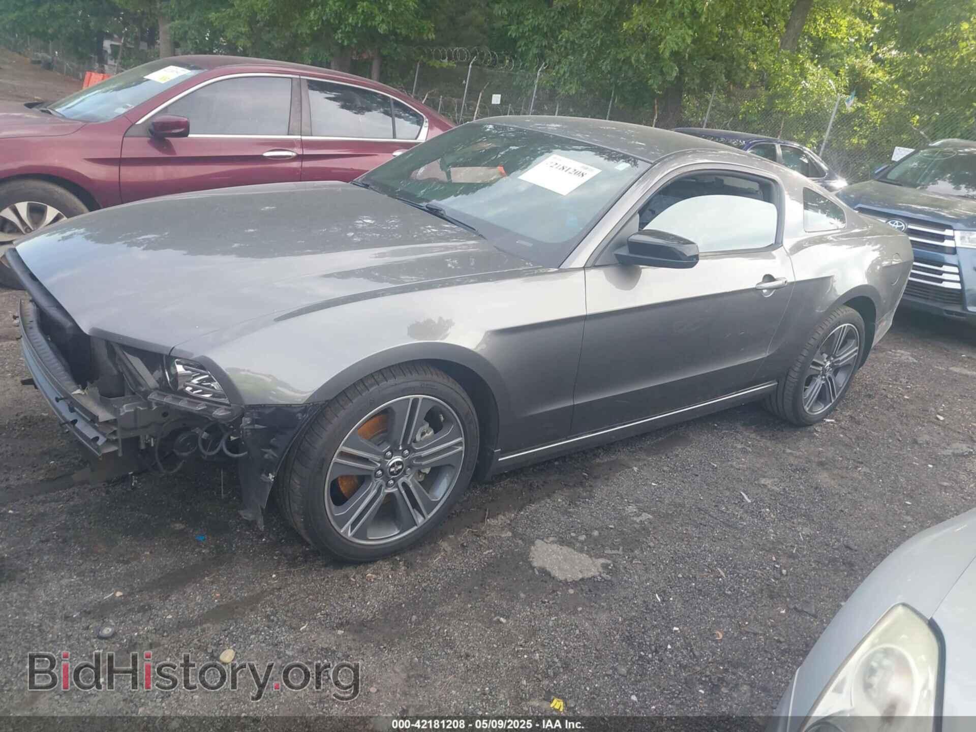 2013 FORD MUSTANG - VIN: 1ZVBP8AM7D5279716 - Фото 2