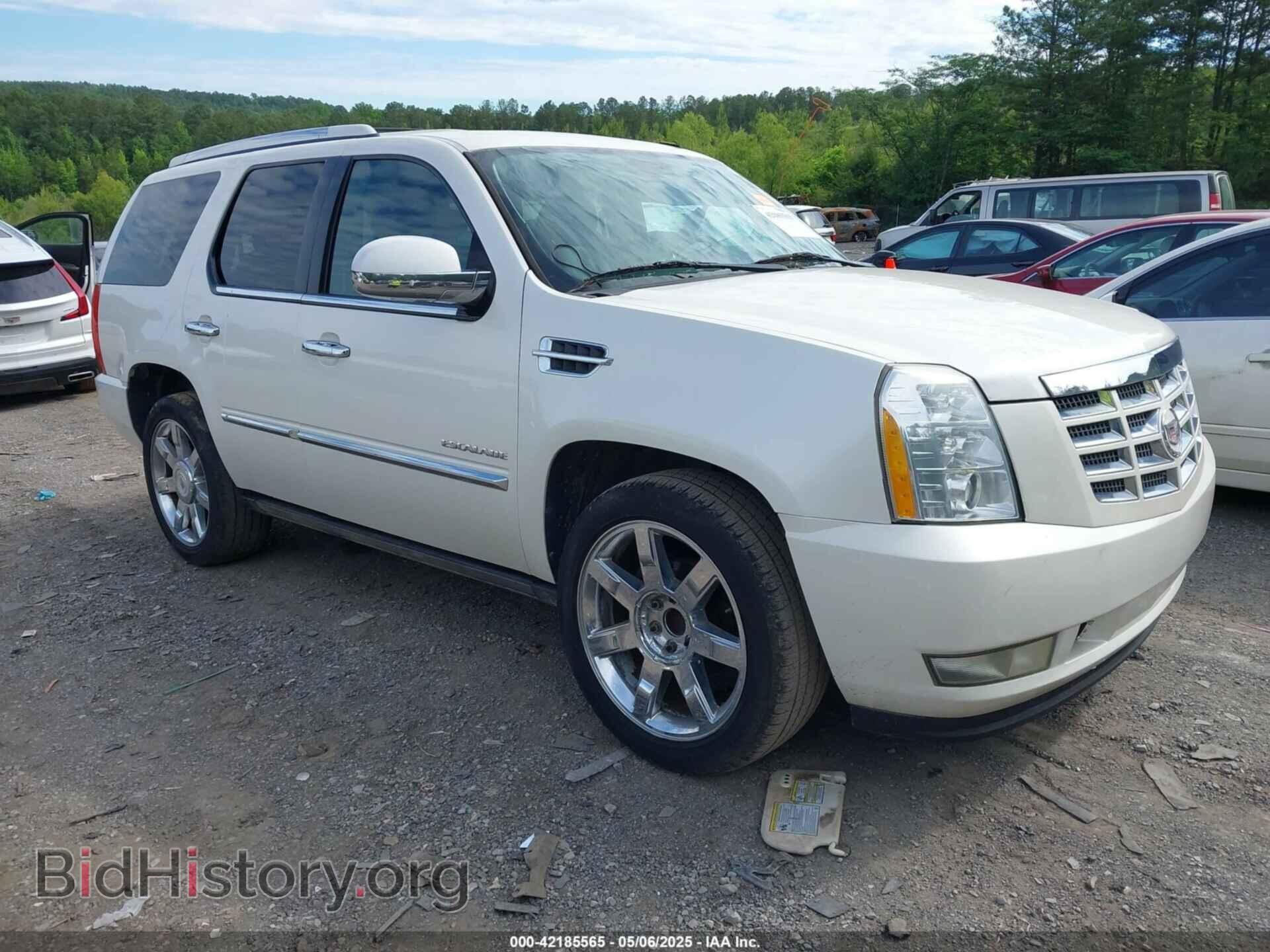 Фотография 1GYUCCEF5AR268699 - CADILLAC ESCALADE 2010