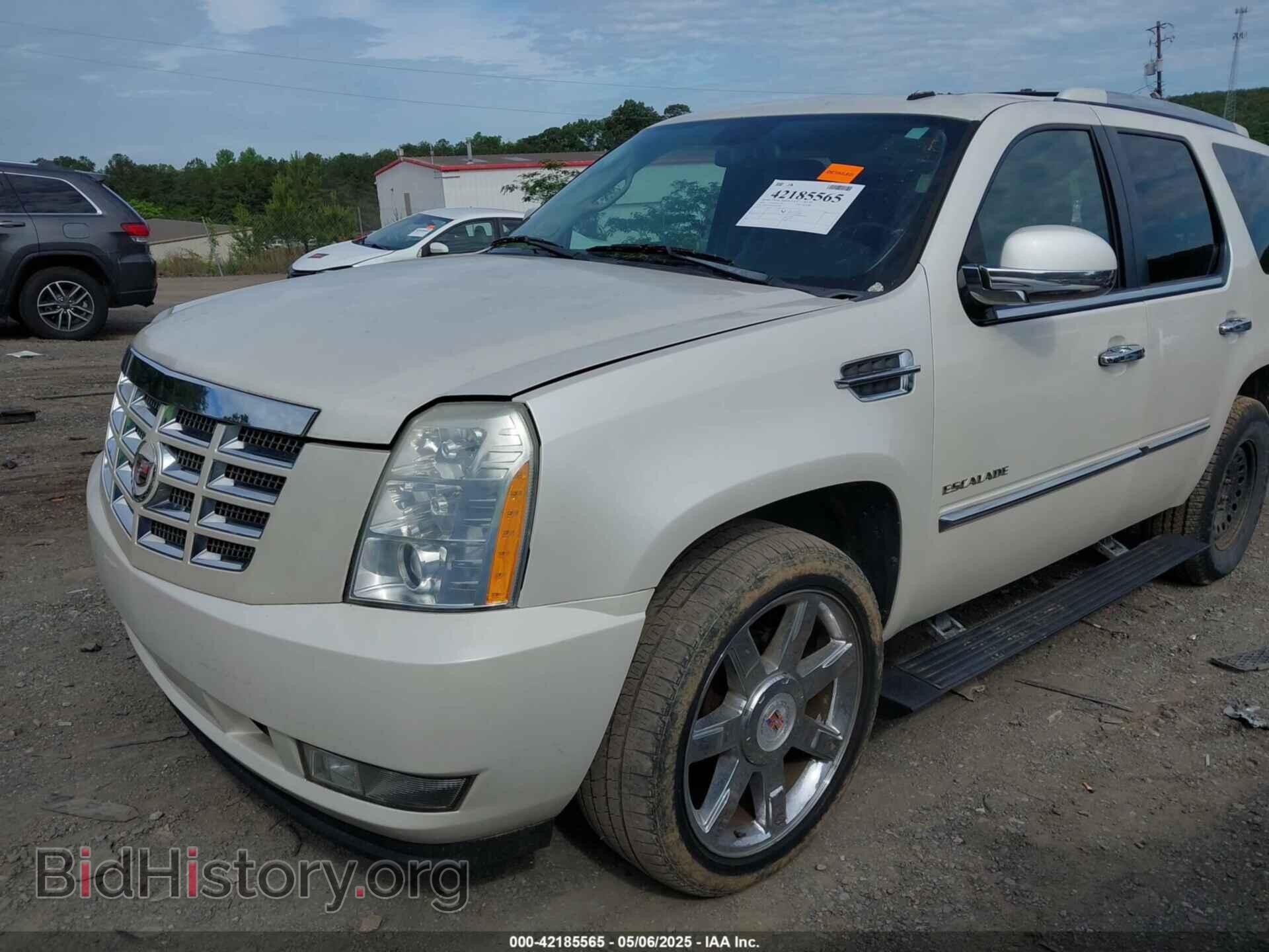 2010 CADILLAC ESCALADE - VIN: 1GYUCCEF5AR268699 - Фото 2