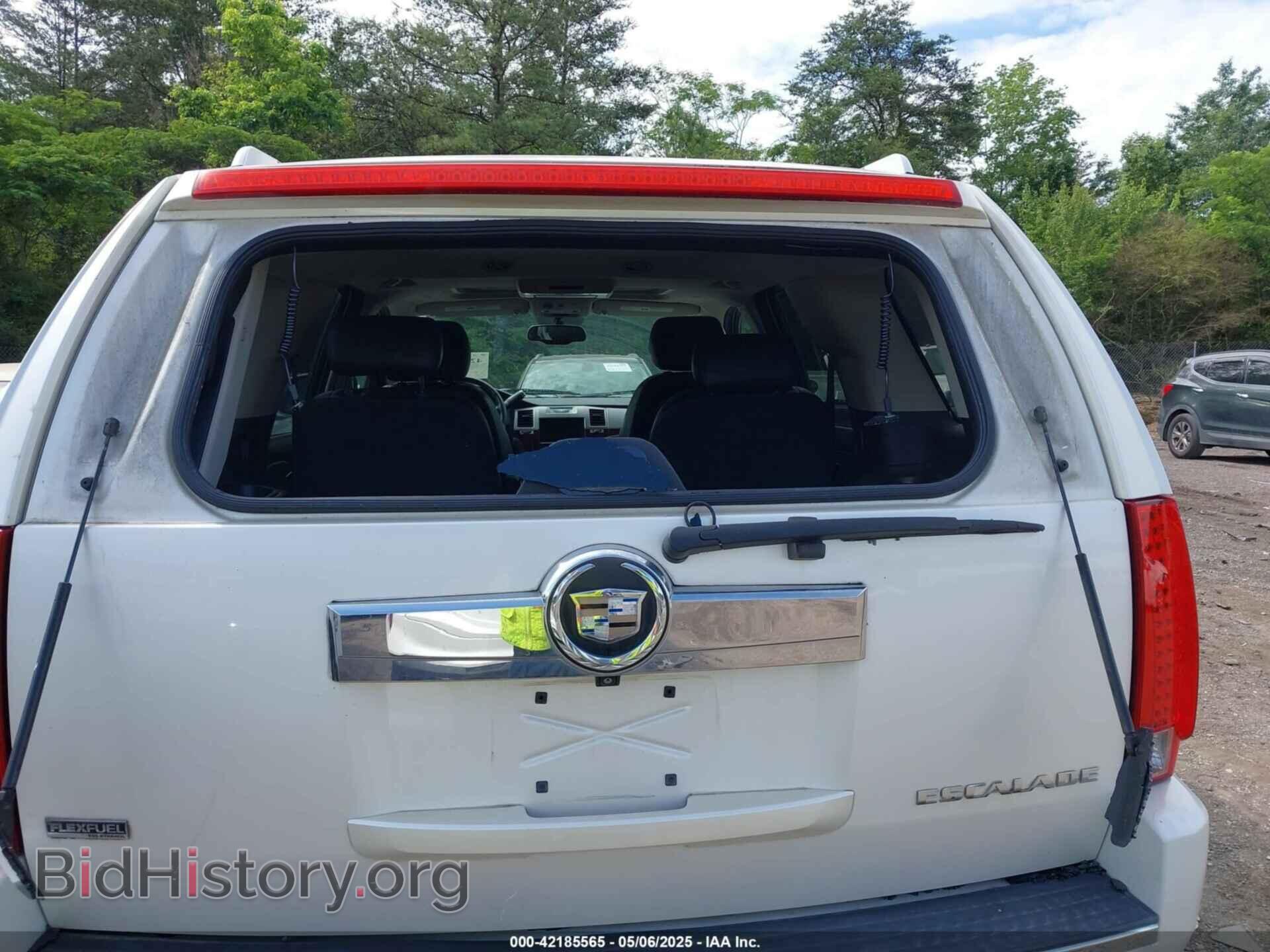 2010 CADILLAC ESCALADE - VIN: 1GYUCCEF5AR268699 - Фото 6
