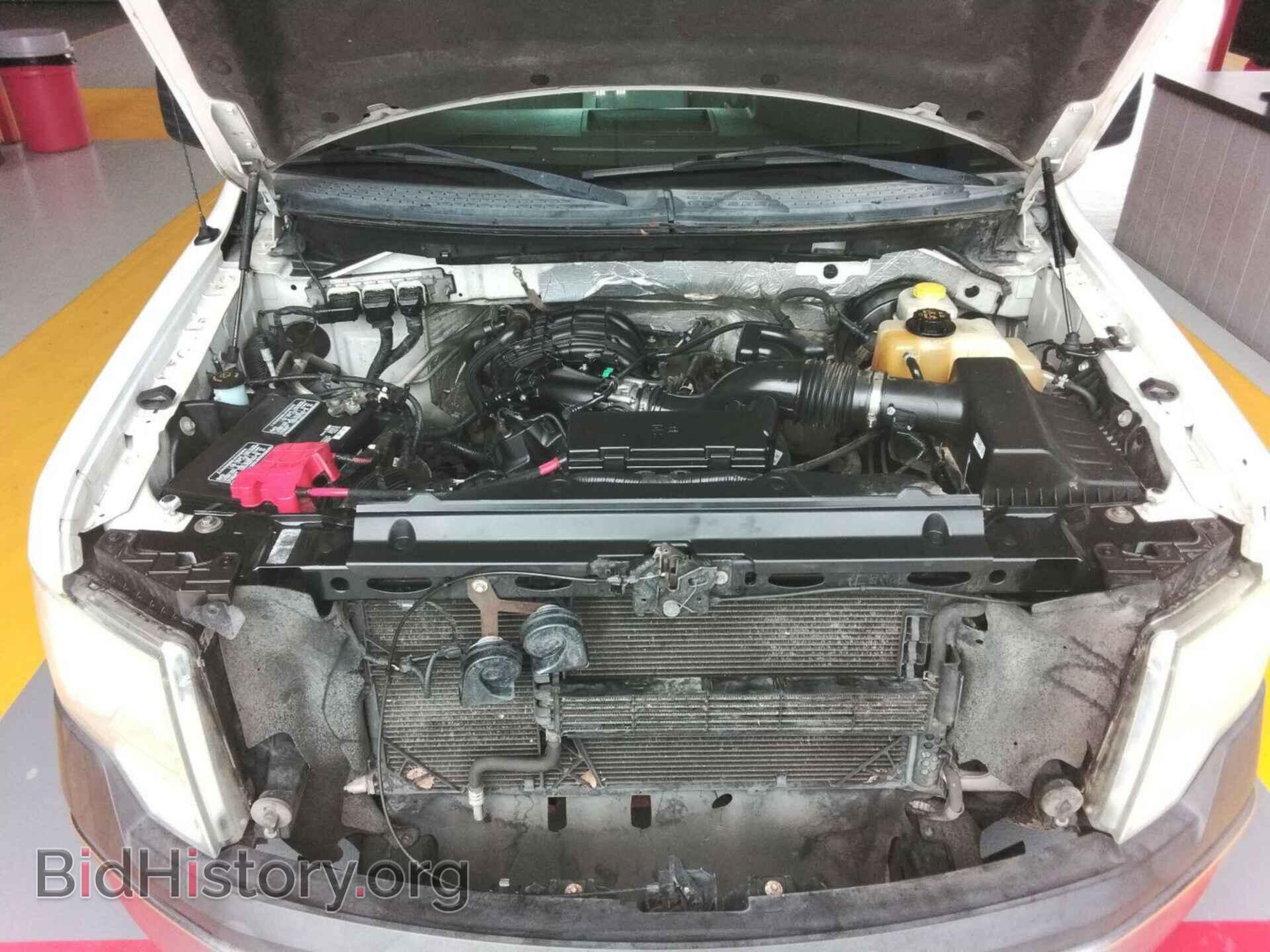 2014 FORD F150 - VIN: 1FTMF1CM4EKF18256 - Фото 5