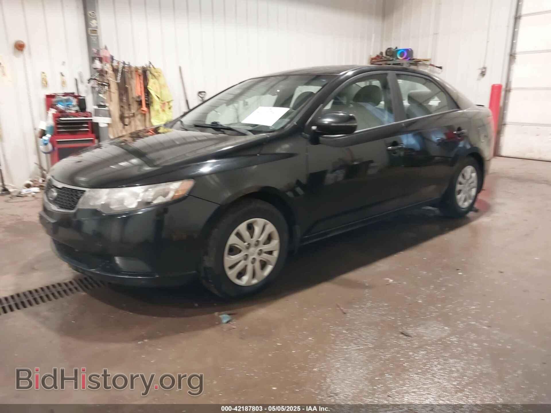 2013 KIA FORTE - VIN: KNAFU4A25D5712371 - Фото 2