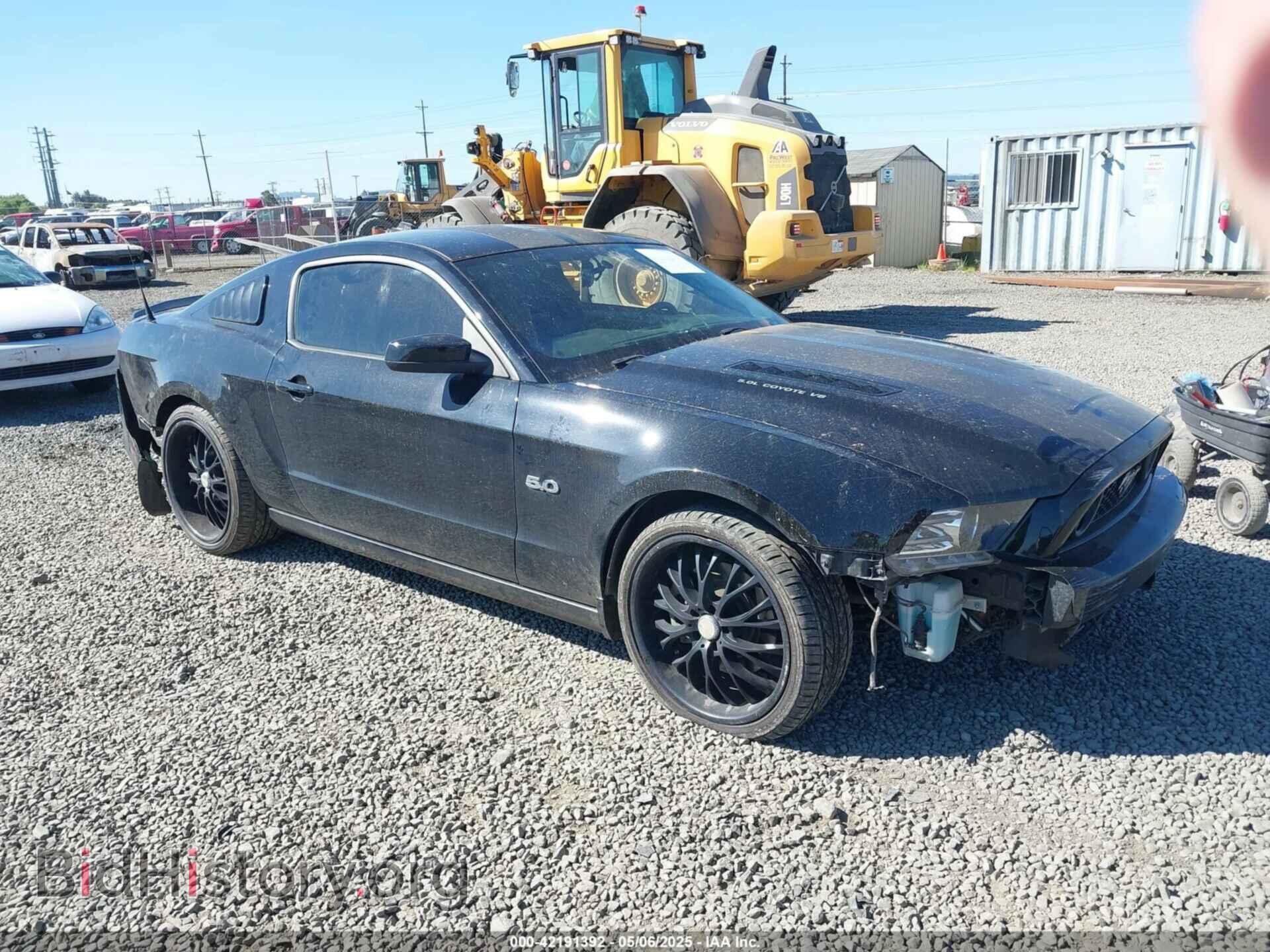 Фотография 1ZVBP8CF5E5201080 - FORD MUSTANG 2014