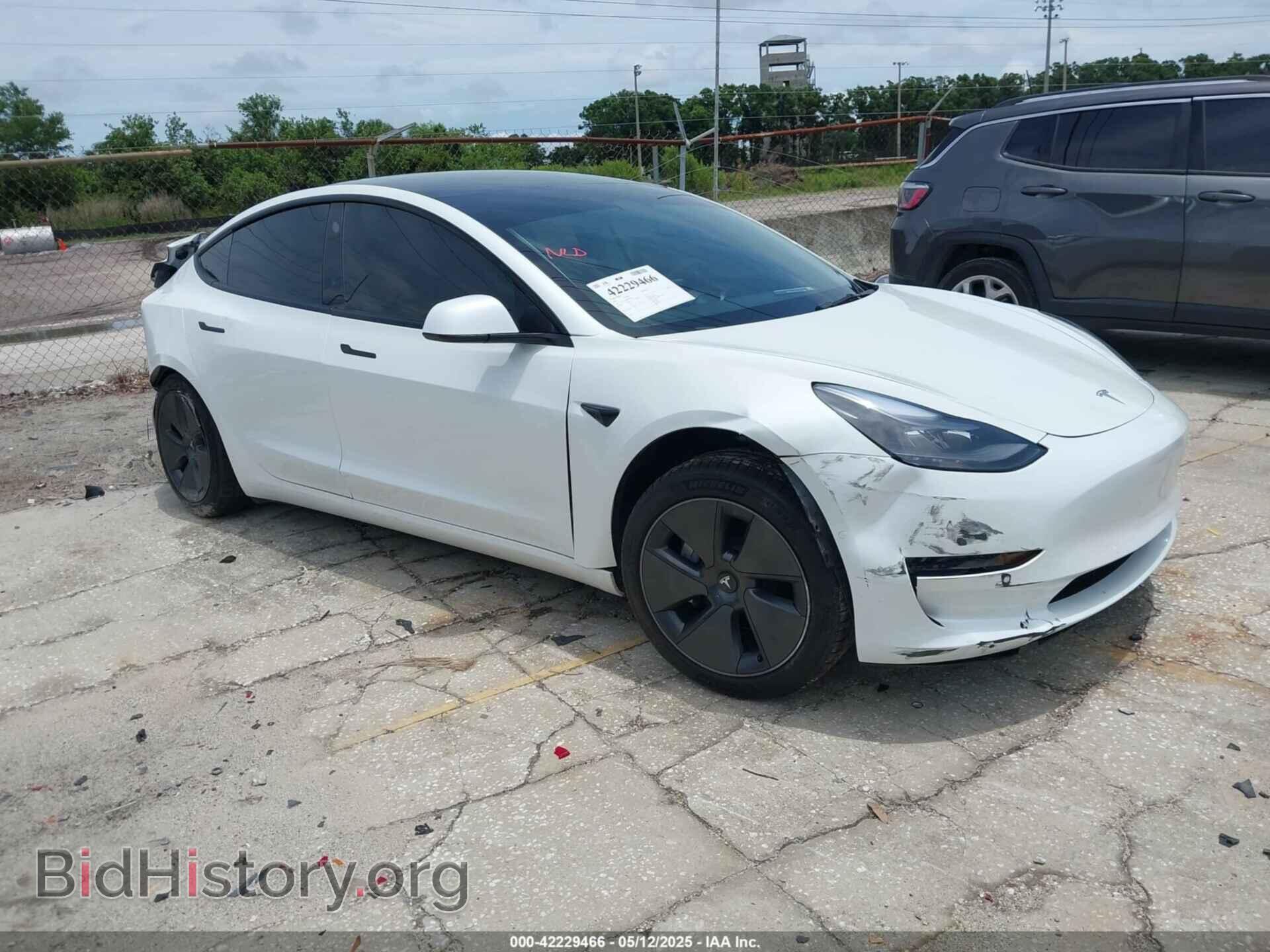 Photo 5YJ3E1EA5MF099704 - TESLA MODEL 3 2021