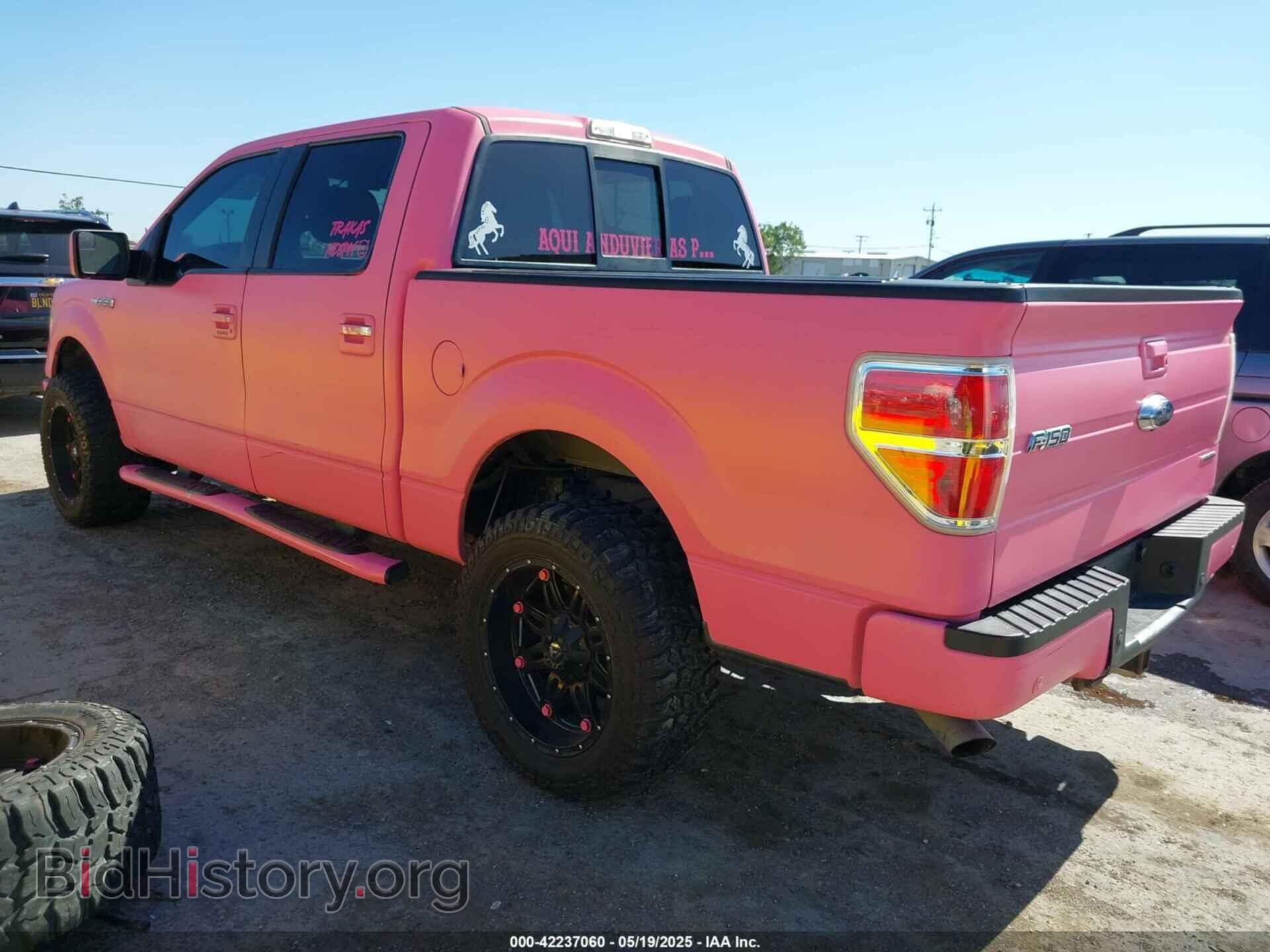 2013 FORD F-150 - VIN: 1FTFW1EF3DKF37323 - Фото 3