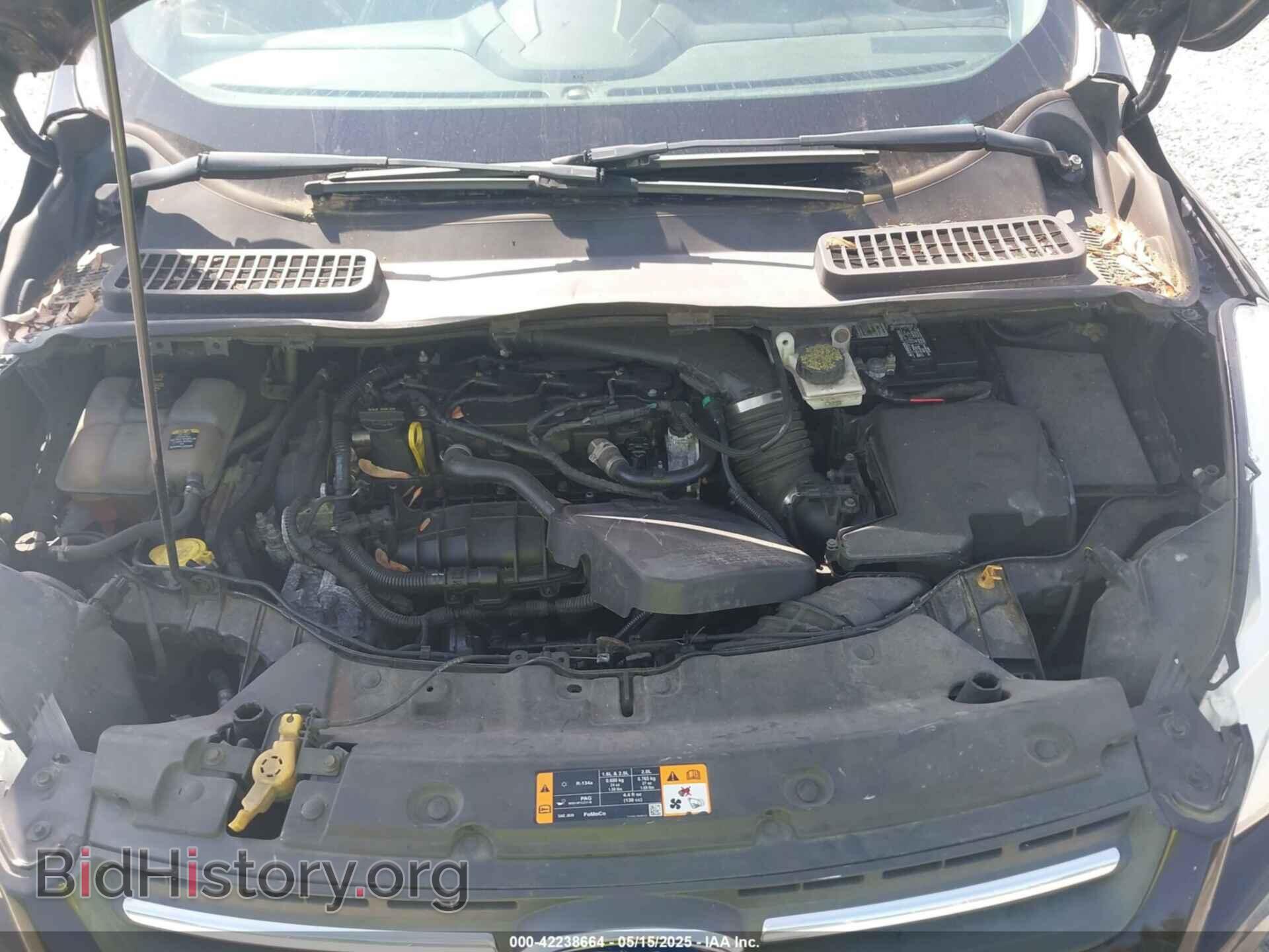 2013 FORD ESCAPE - VIN: 1FMCU0GX5DUC77399 - Фото 10