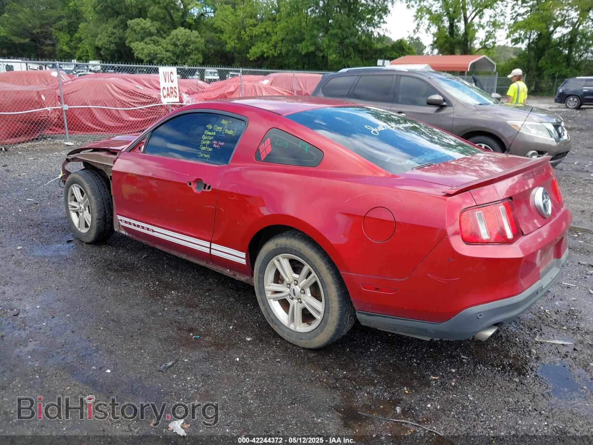 2012 FORD MUSTANG - VIN: 1ZVBP8AM6C5260105 - Фото 3