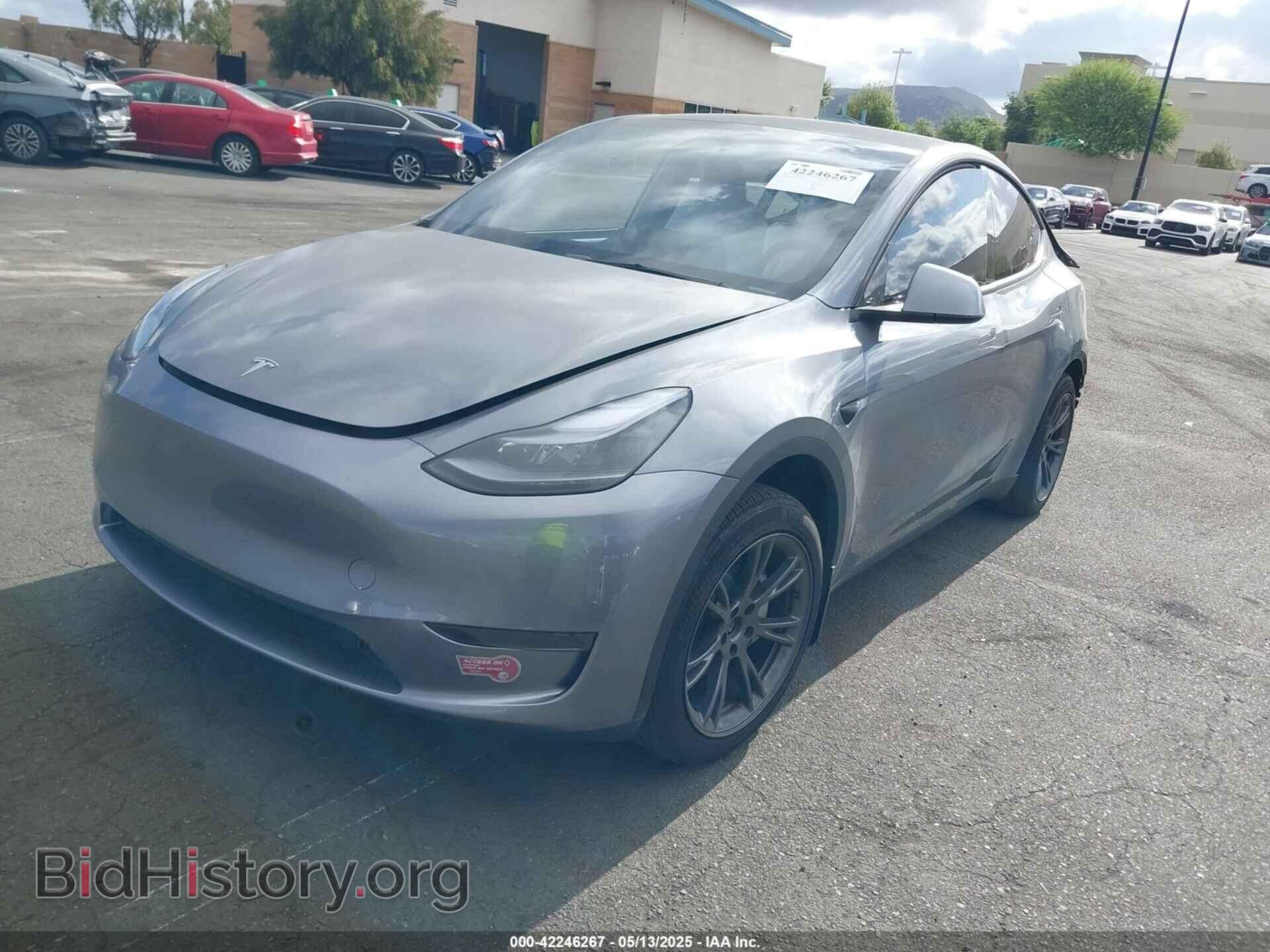 2024 TESLA MODEL Y - VIN: 7SAYGDED7RF197638 - Фото 2