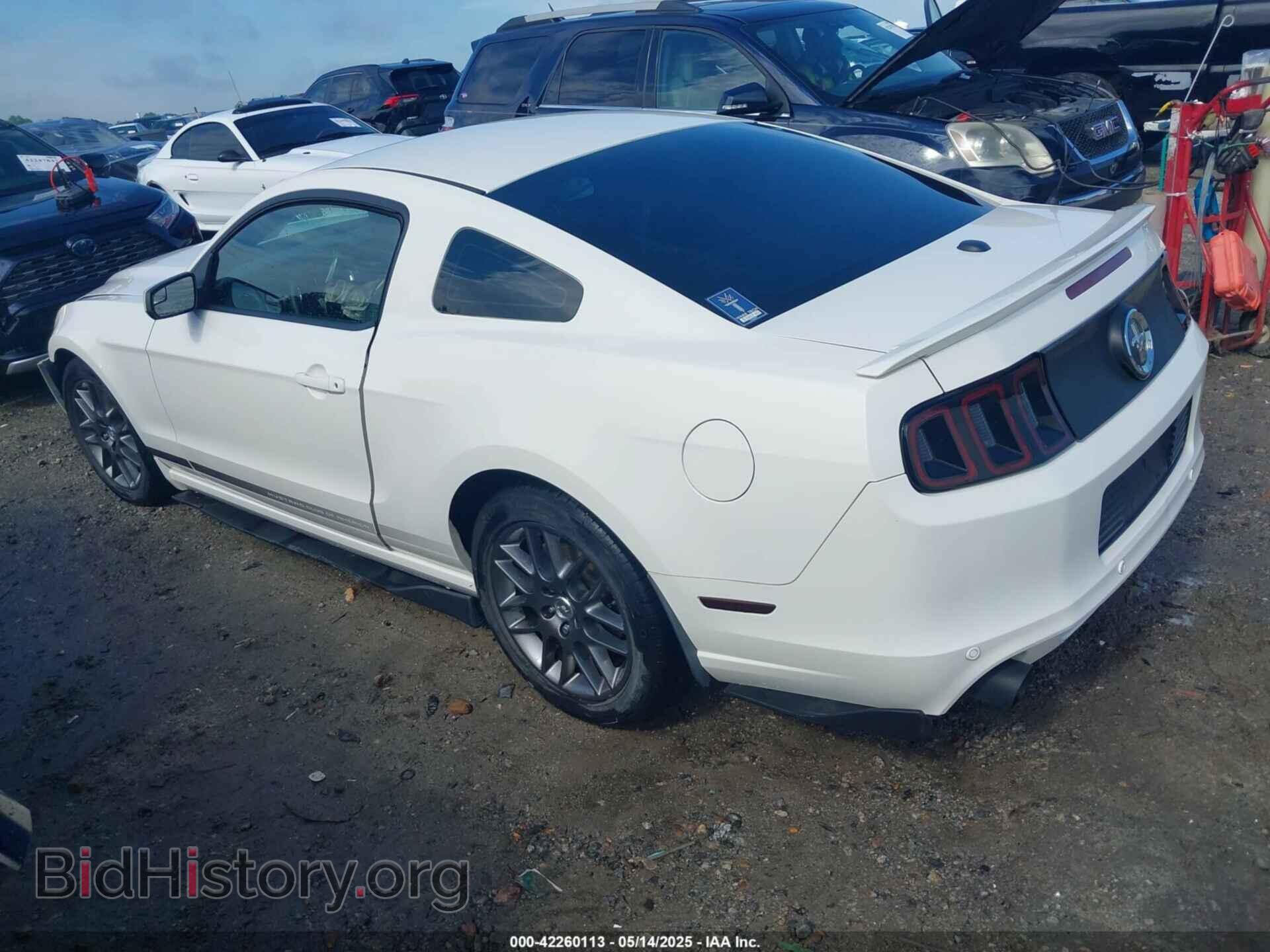 2013 FORD MUSTANG - VIN: 1ZVBP8AMXD5281234 - Фото 3