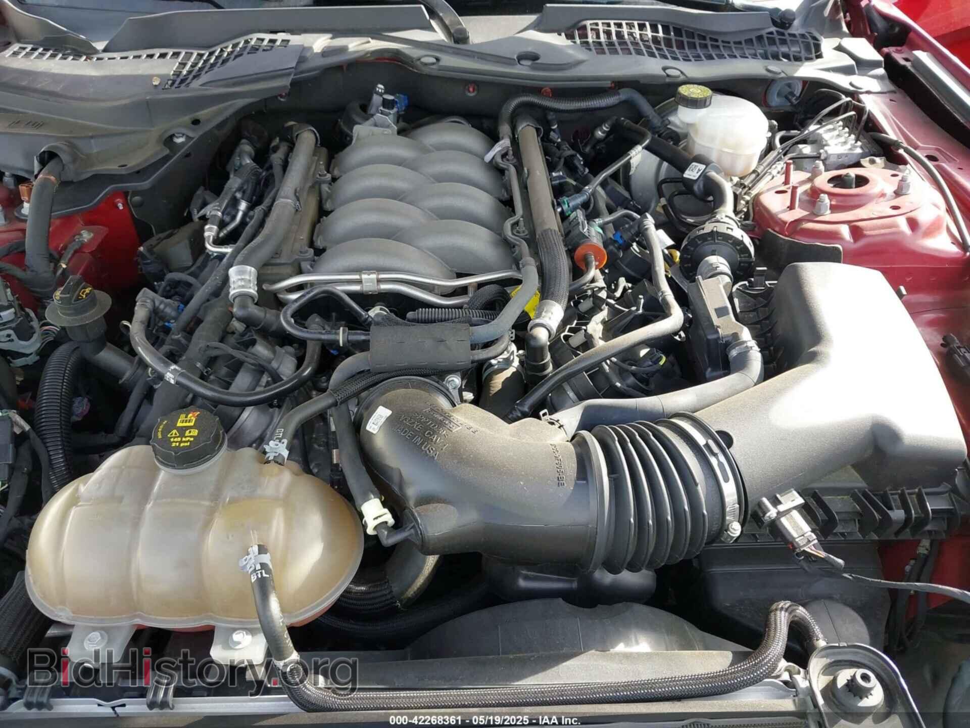 2019 FORD MUSTANG - VIN: 1FA6P8CF2K5130796 - Фото 10