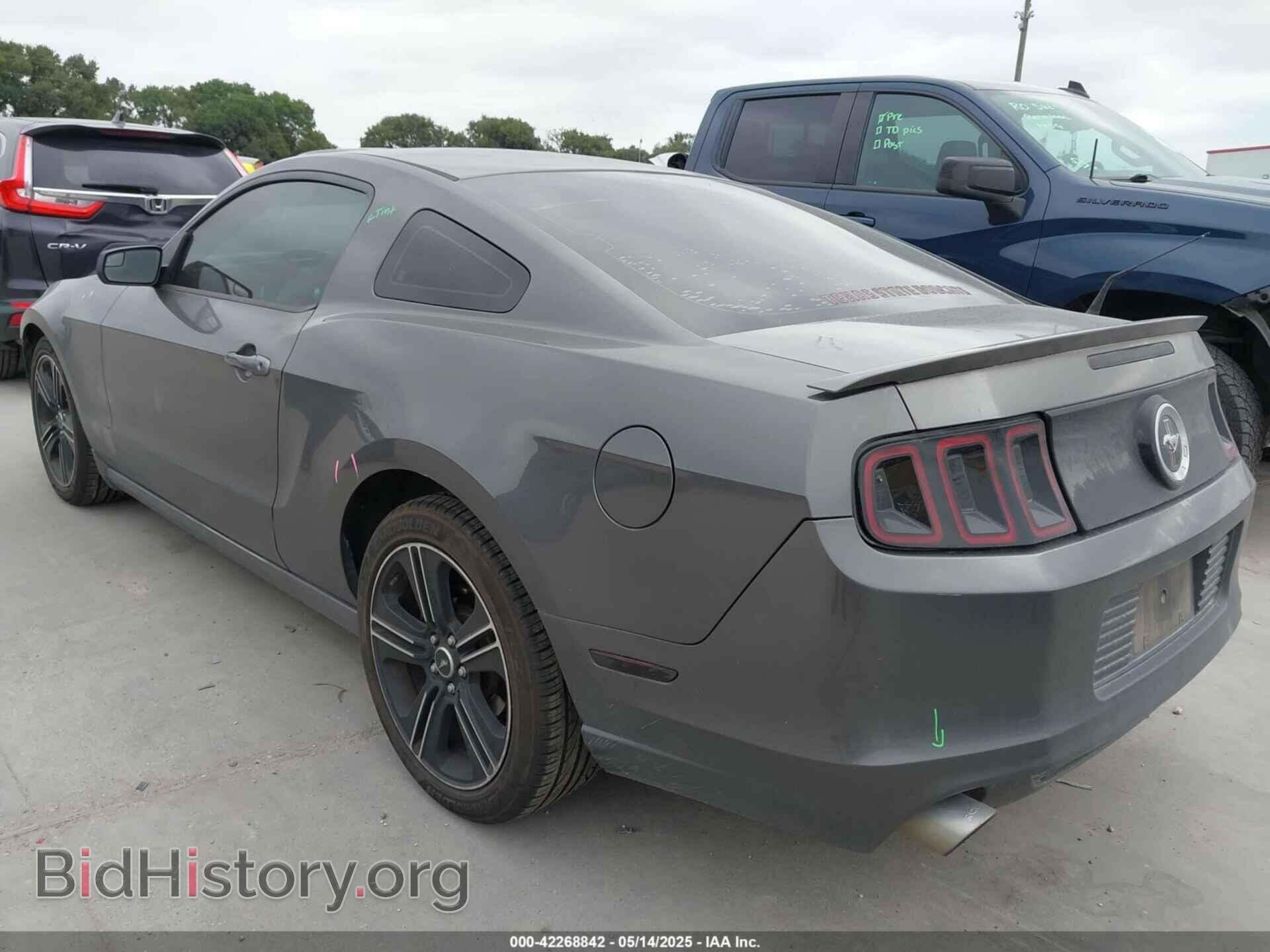 2013 FORD MUSTANG - VIN: 1ZVBP8AM9D5281984 - Фото 3