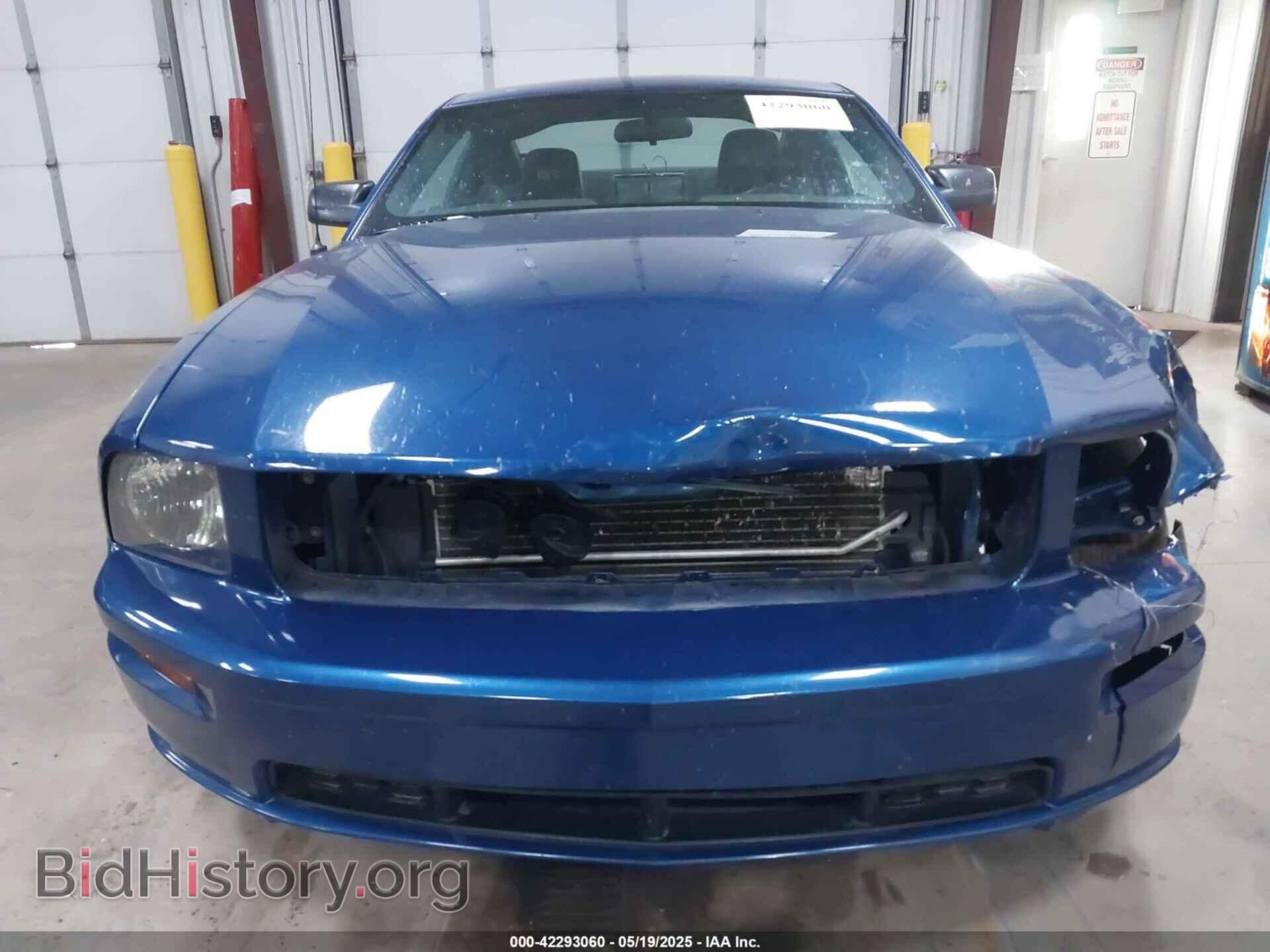 2006 FORD MUSTANG - VIN: 1ZVFT82H665185747 - Фото 13