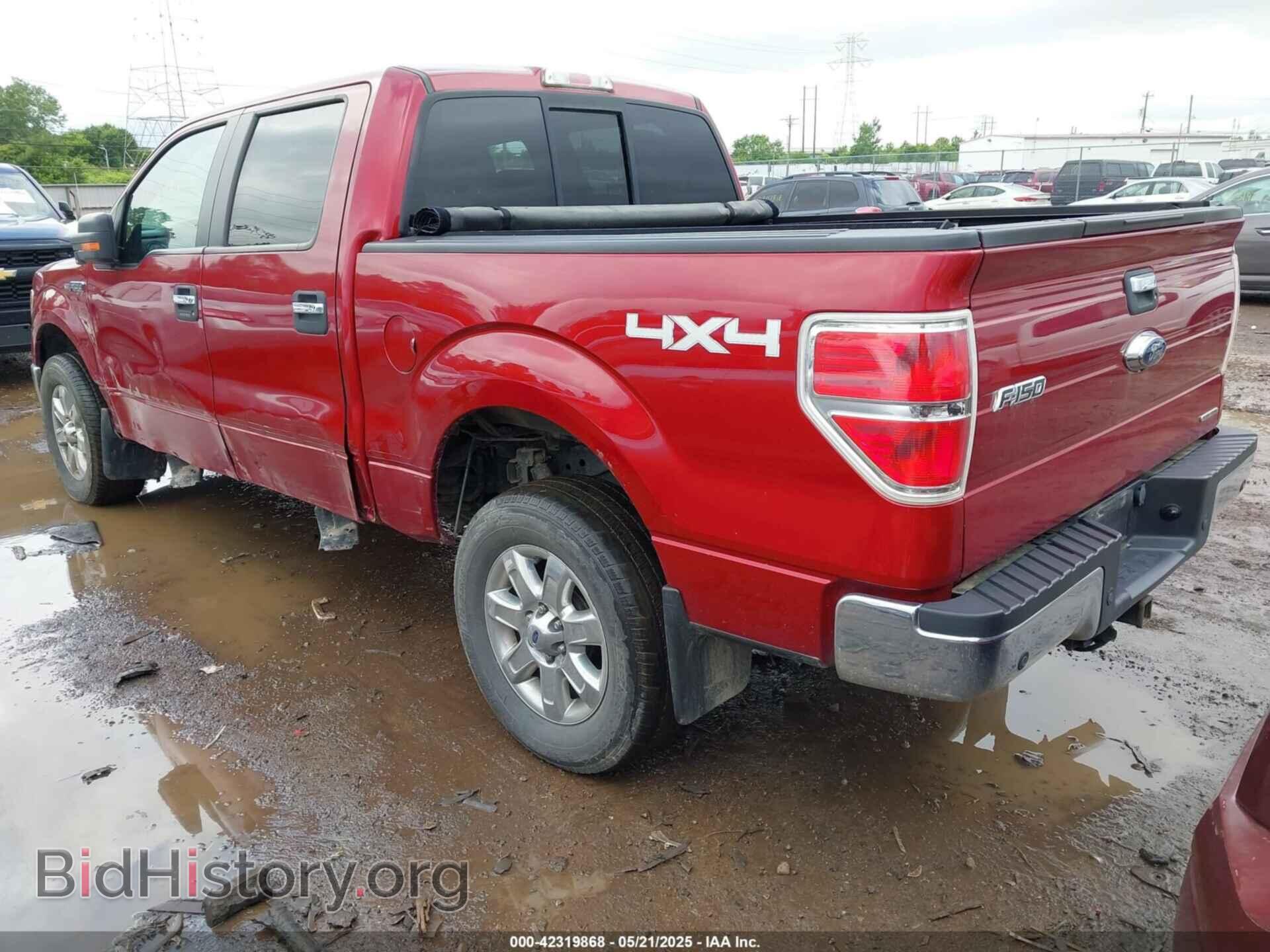 2013 FORD F-150 - VIN: 1FTFW1EF3DFD32402 - Фото 3
