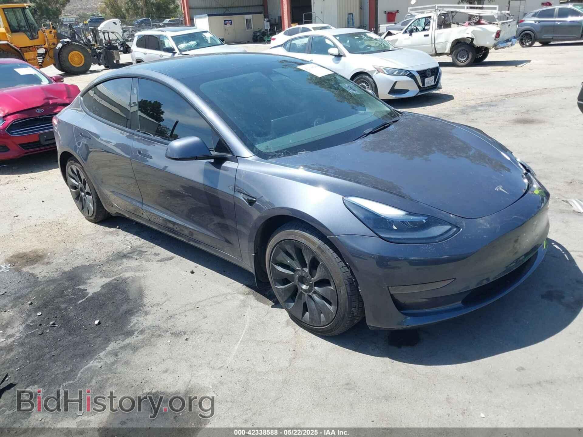 Фотография 5YJ3E1EA1PF464013 - TESLA MODEL 3 2023