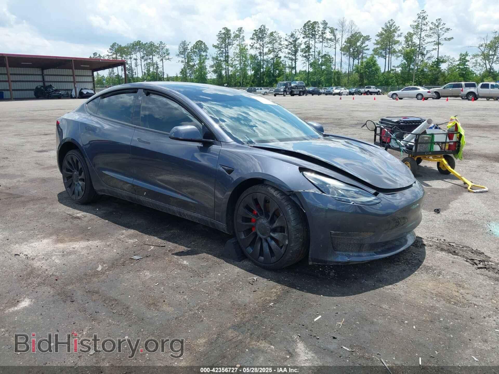 Фотография 5YJ3E1EC8PF465029 - TESLA MODEL 3 2023