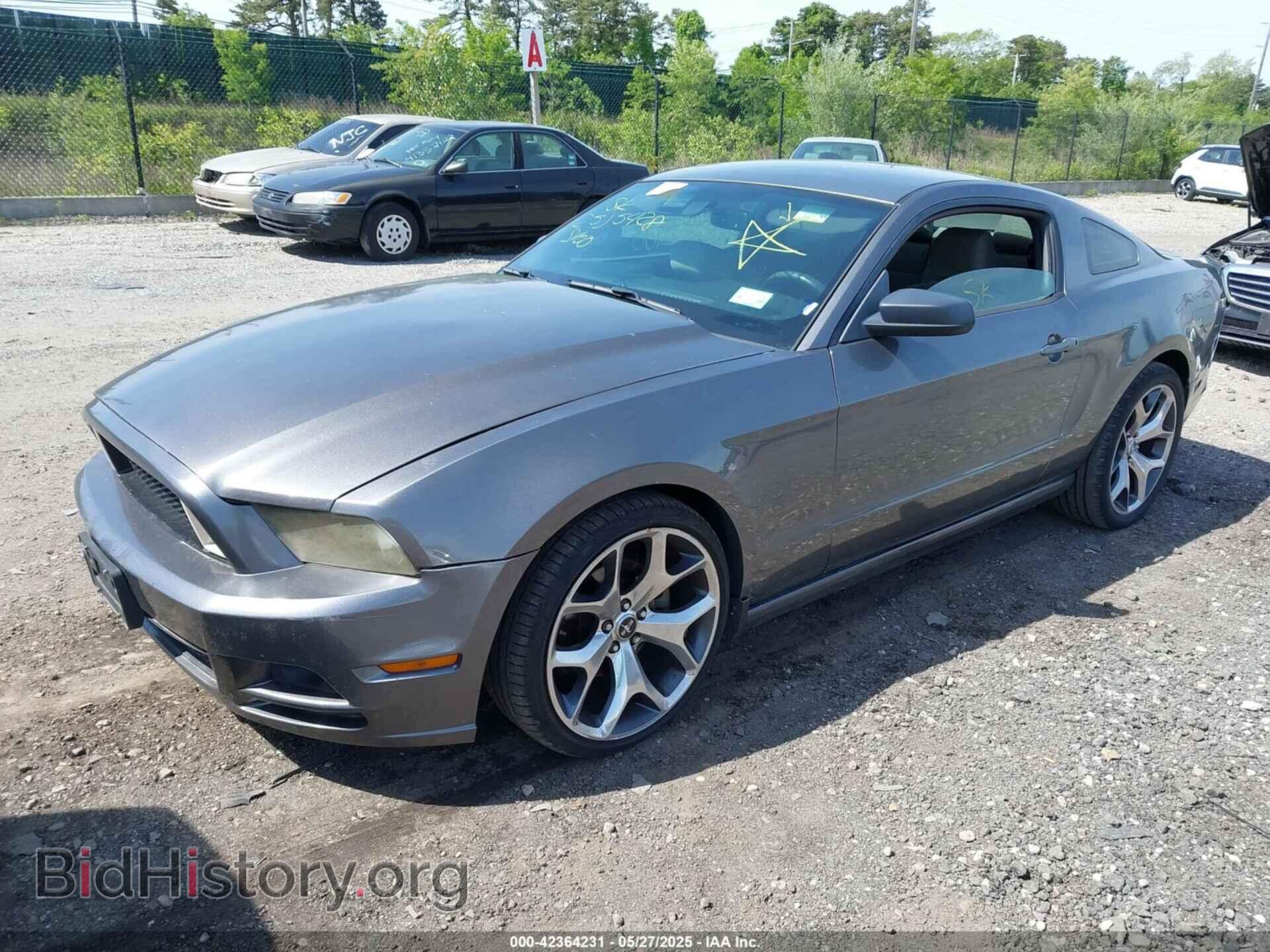 2013 FORD MUSTANG - VIN: 1ZVBP8AM1D5269392 - Фото 2
