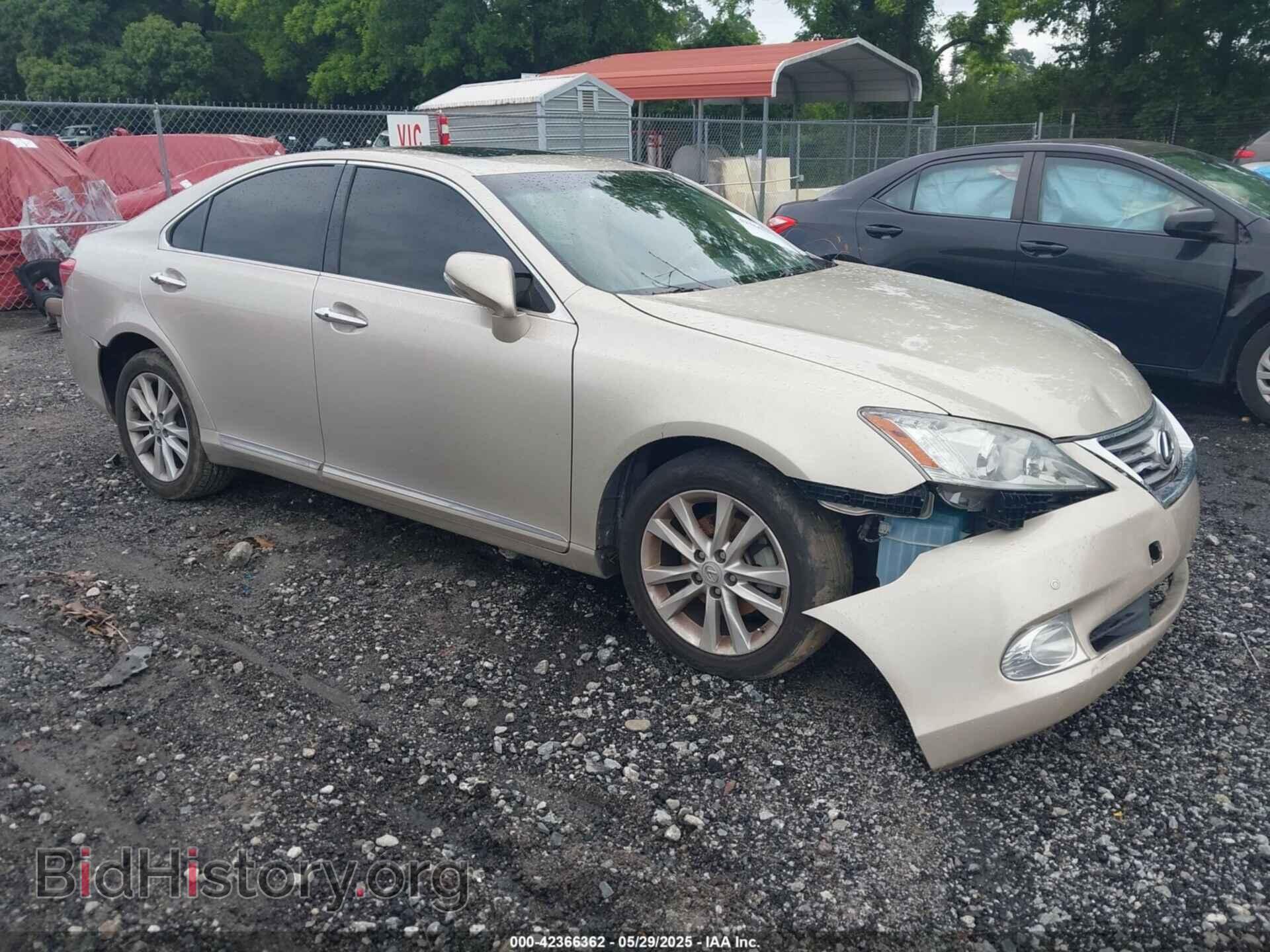 Photo JTHBK1EG5A2409632 - LEXUS ES 350 2010