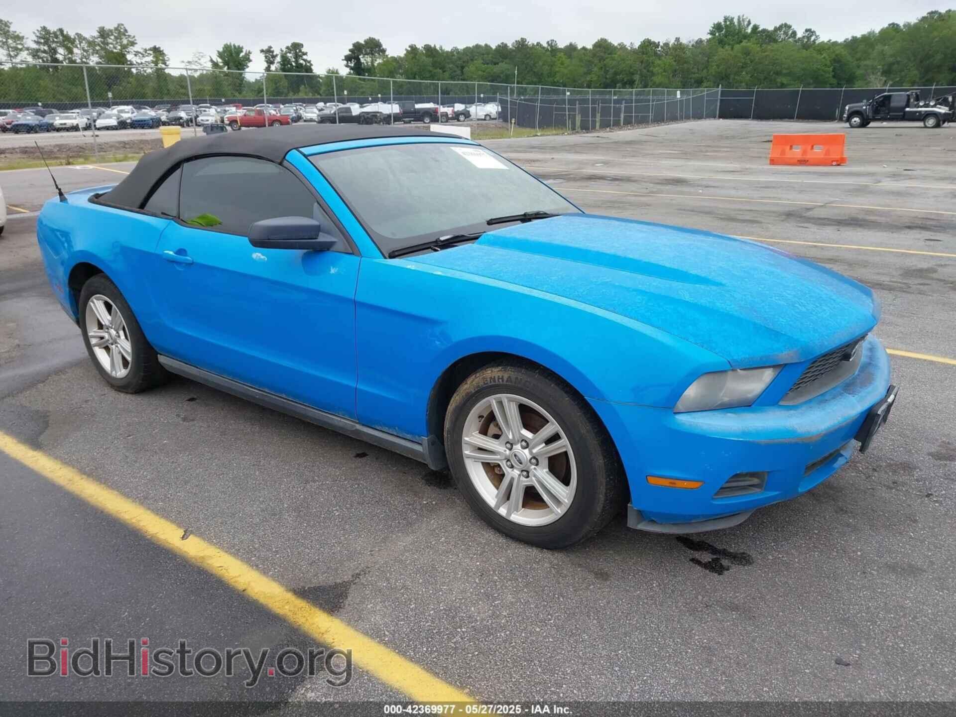 Фотография 1ZVBP8EN8A5179686 - FORD MUSTANG 2010