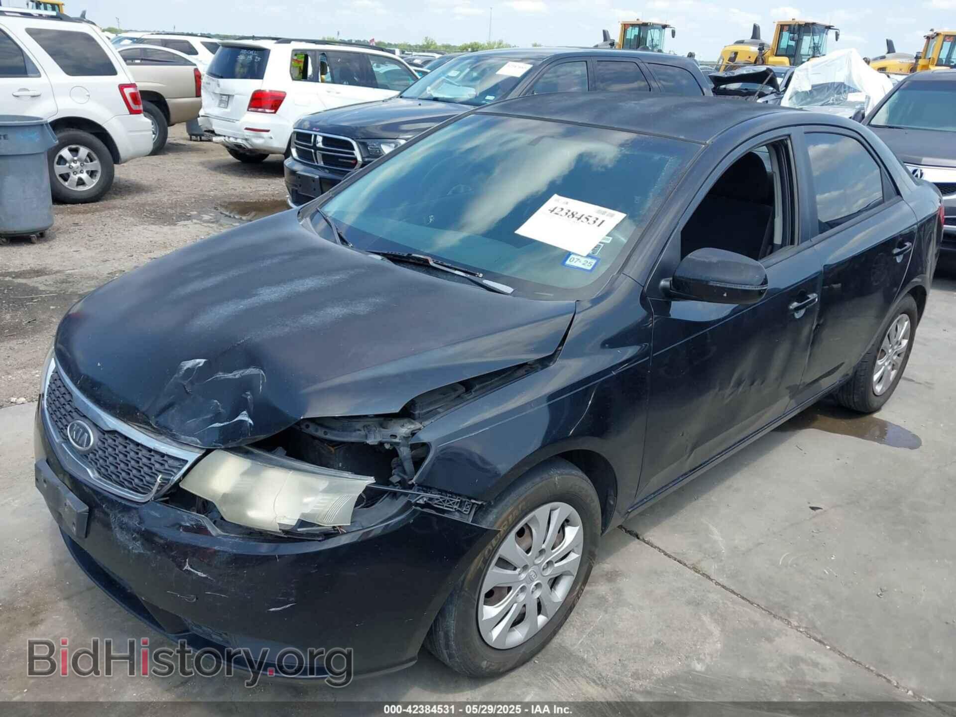 2013 KIA FORTE - VIN: KNAFU4A21D5669213 - Фото 2