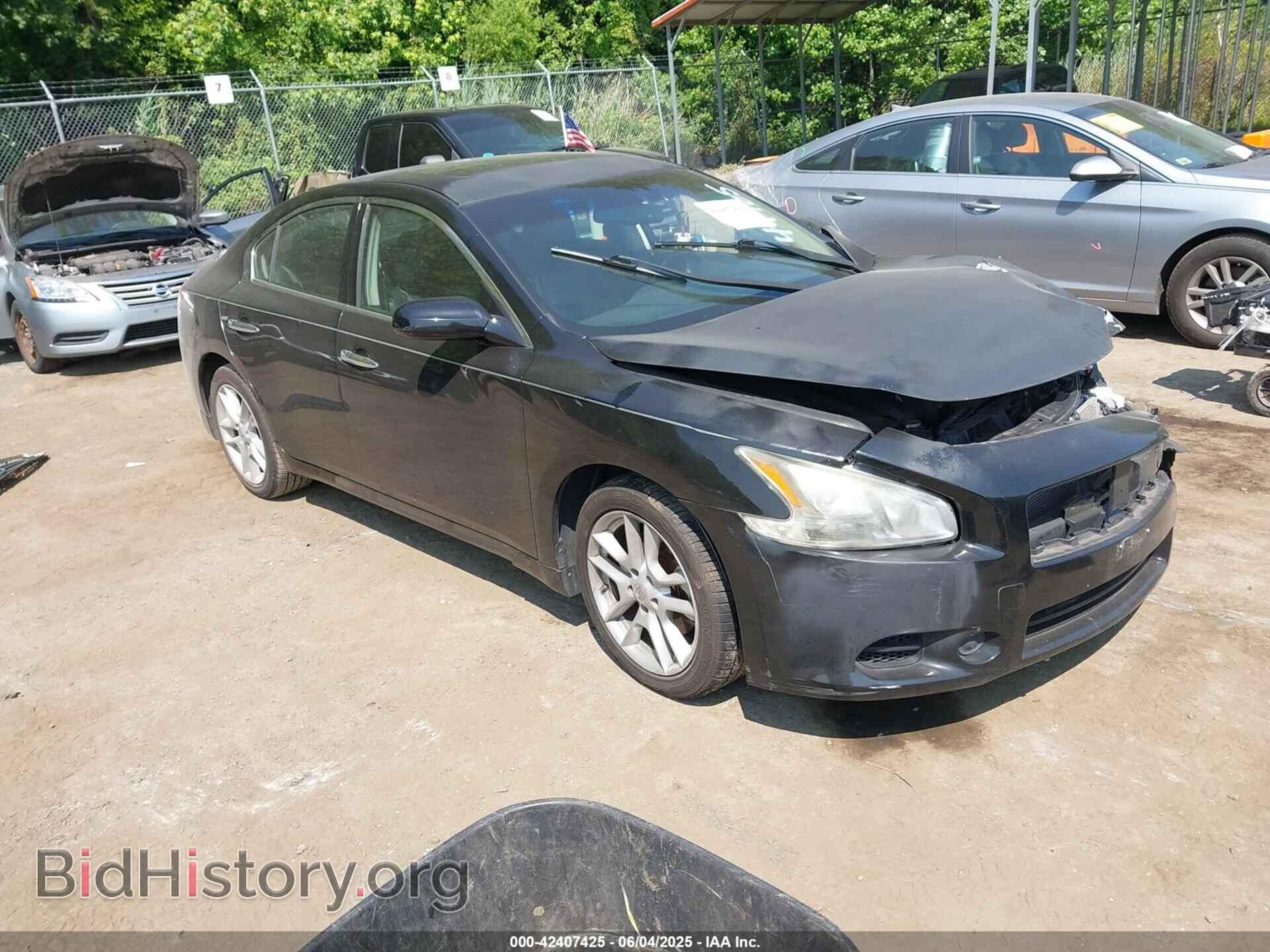 Photo 1N4AA5AP5AC801037 - NISSAN MAXIMA 2010