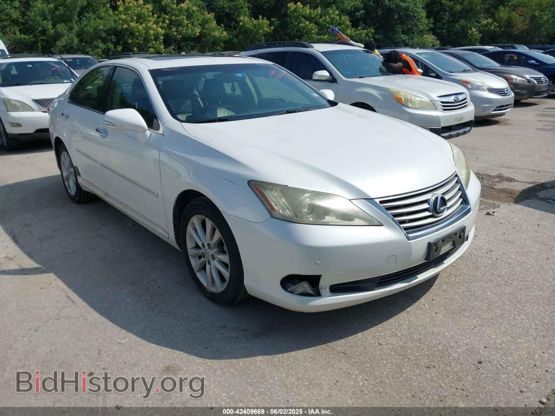 Фотография JTHBK1EG0C2509818 - LEXUS ES 350 2012