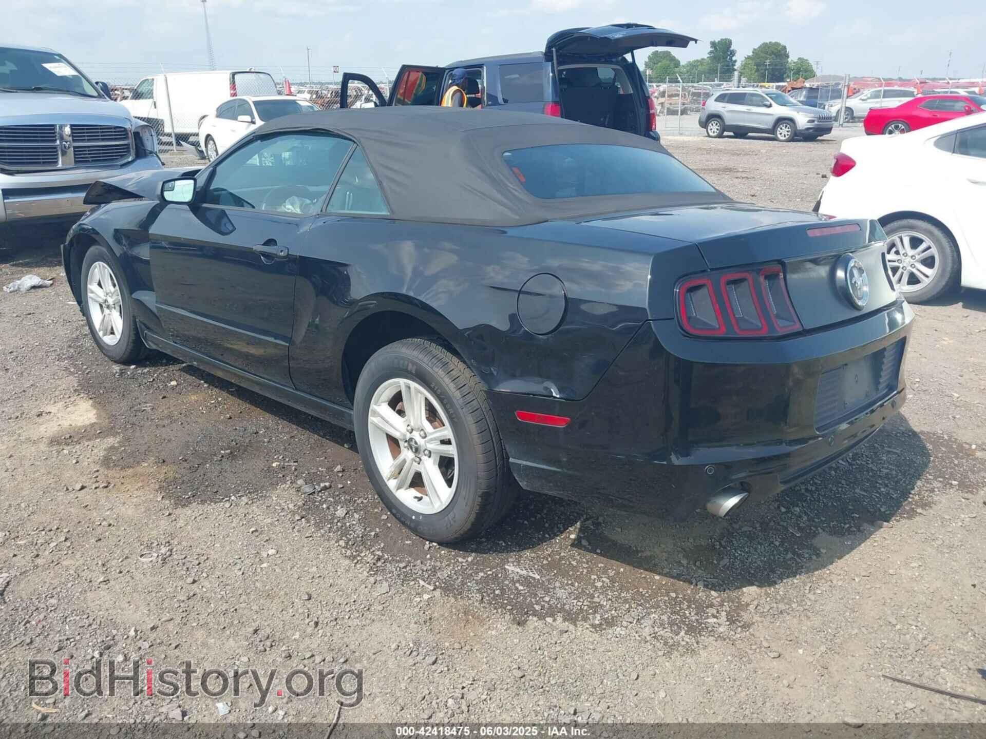 2013 FORD MUSTANG - VIN: 1ZVBP8EM7D5205089 - Фото 3