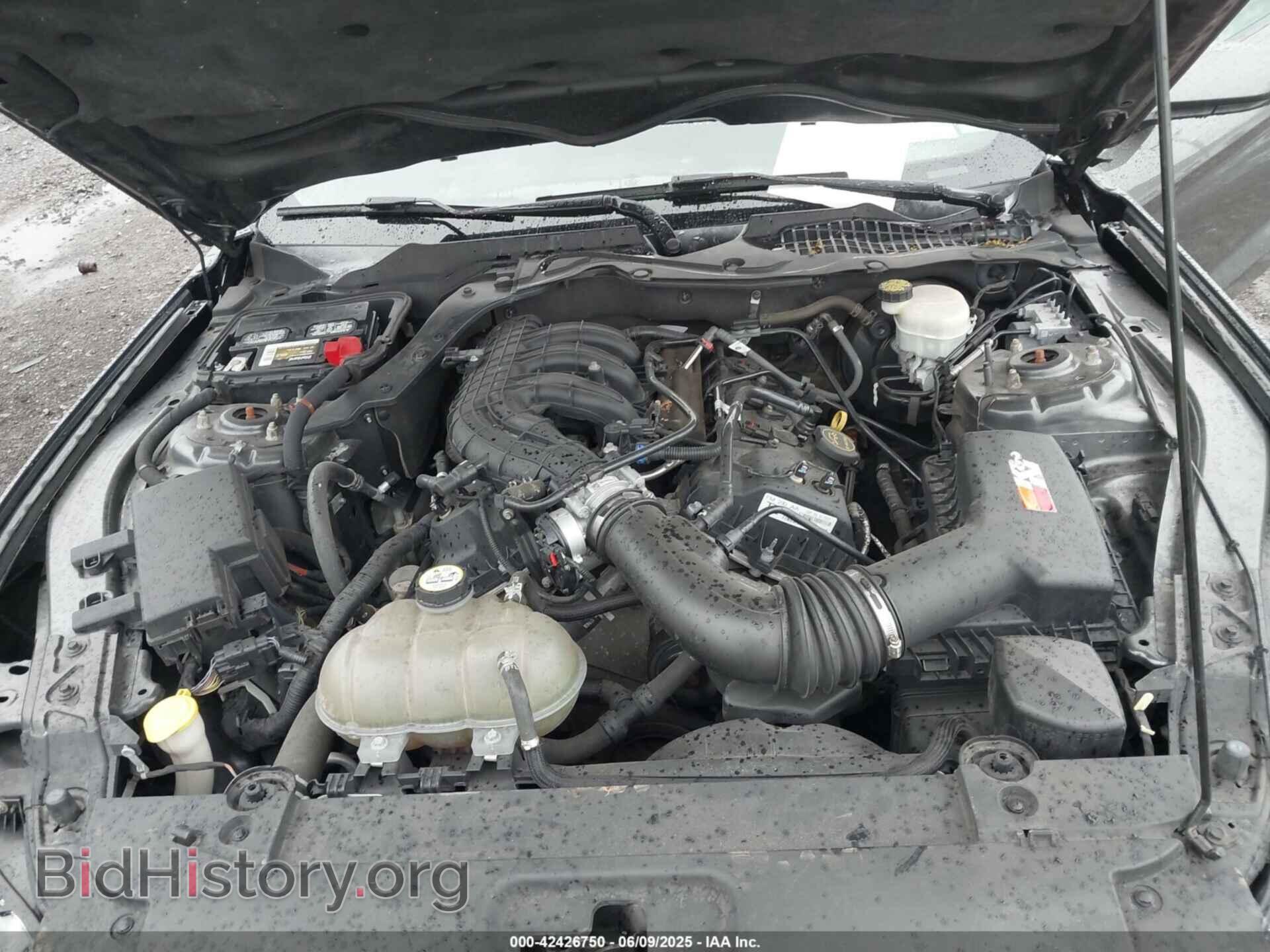 2015 FORD MUSTANG - VIN: 1FA6P8AM7F5388951 - Фото 10